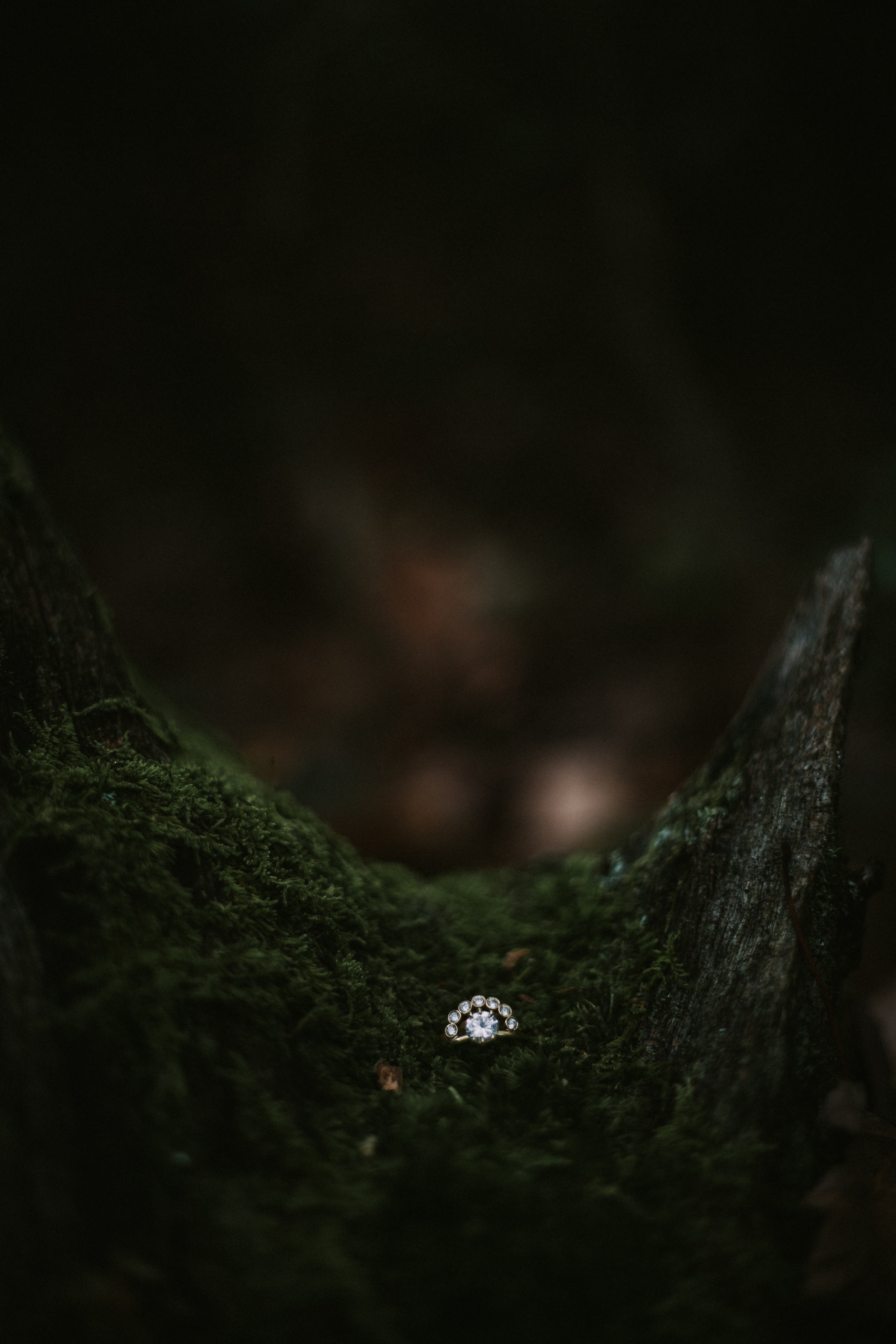 BROOKLYN INTIMATE WEDDING PHOTOGRAPHER
