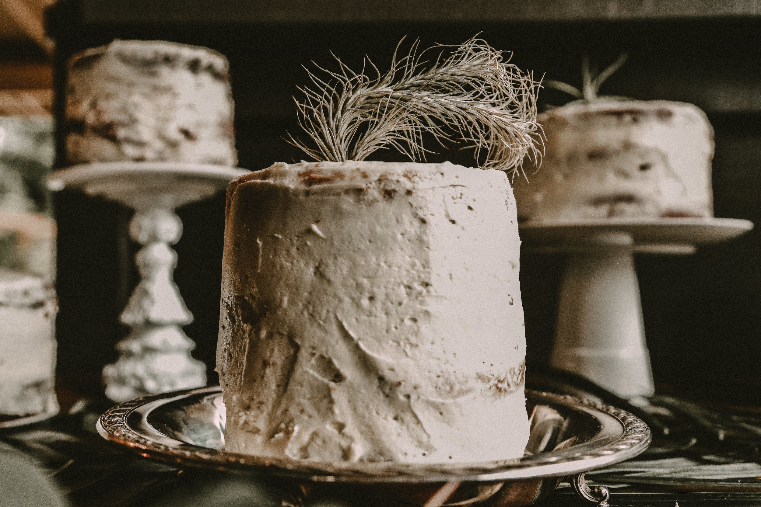 SEATTLE INTIMATE WEDDING PHOTOGRAPHER