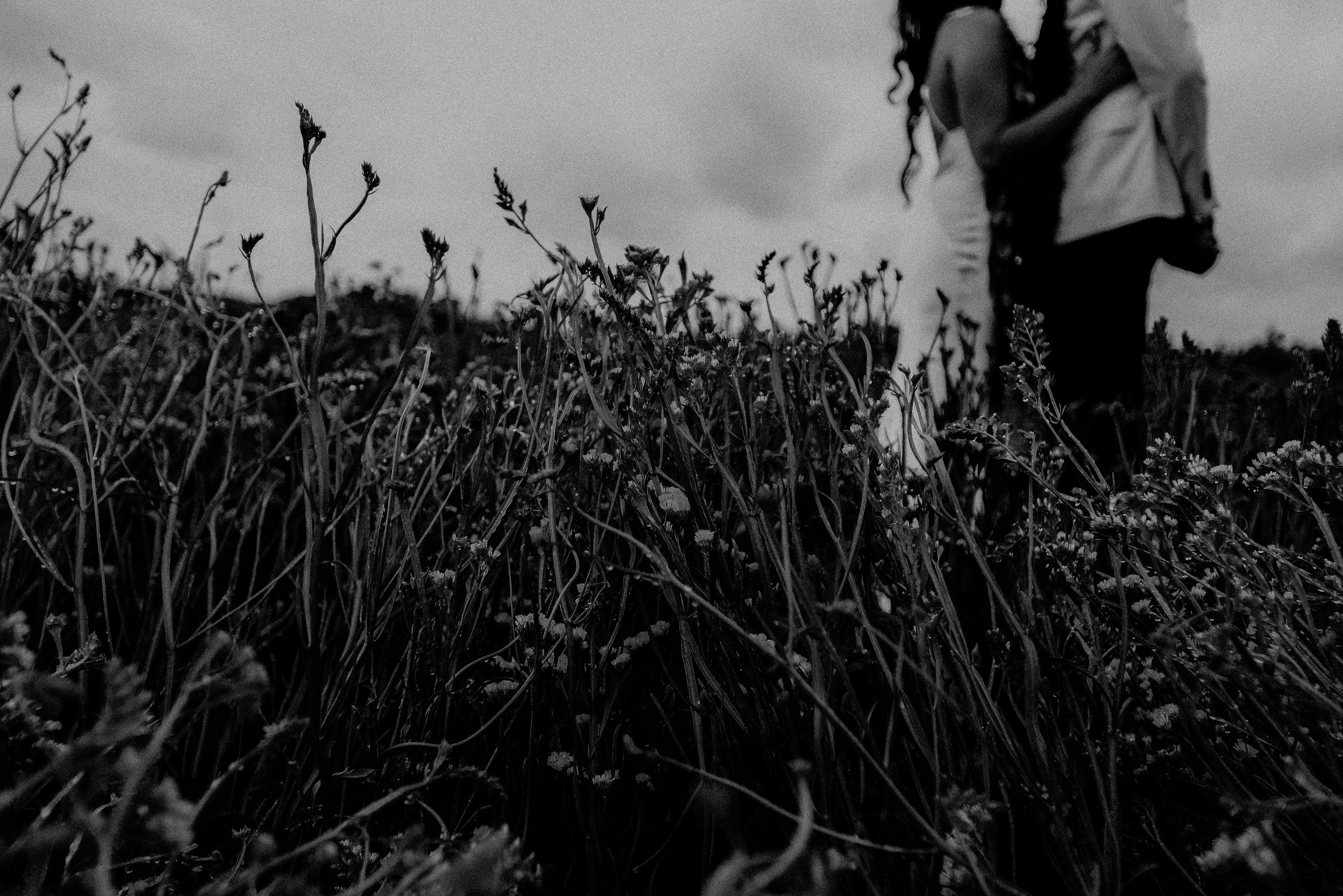 SEATTLE INTIMATE WEDDING PHOTOGRAPHER
