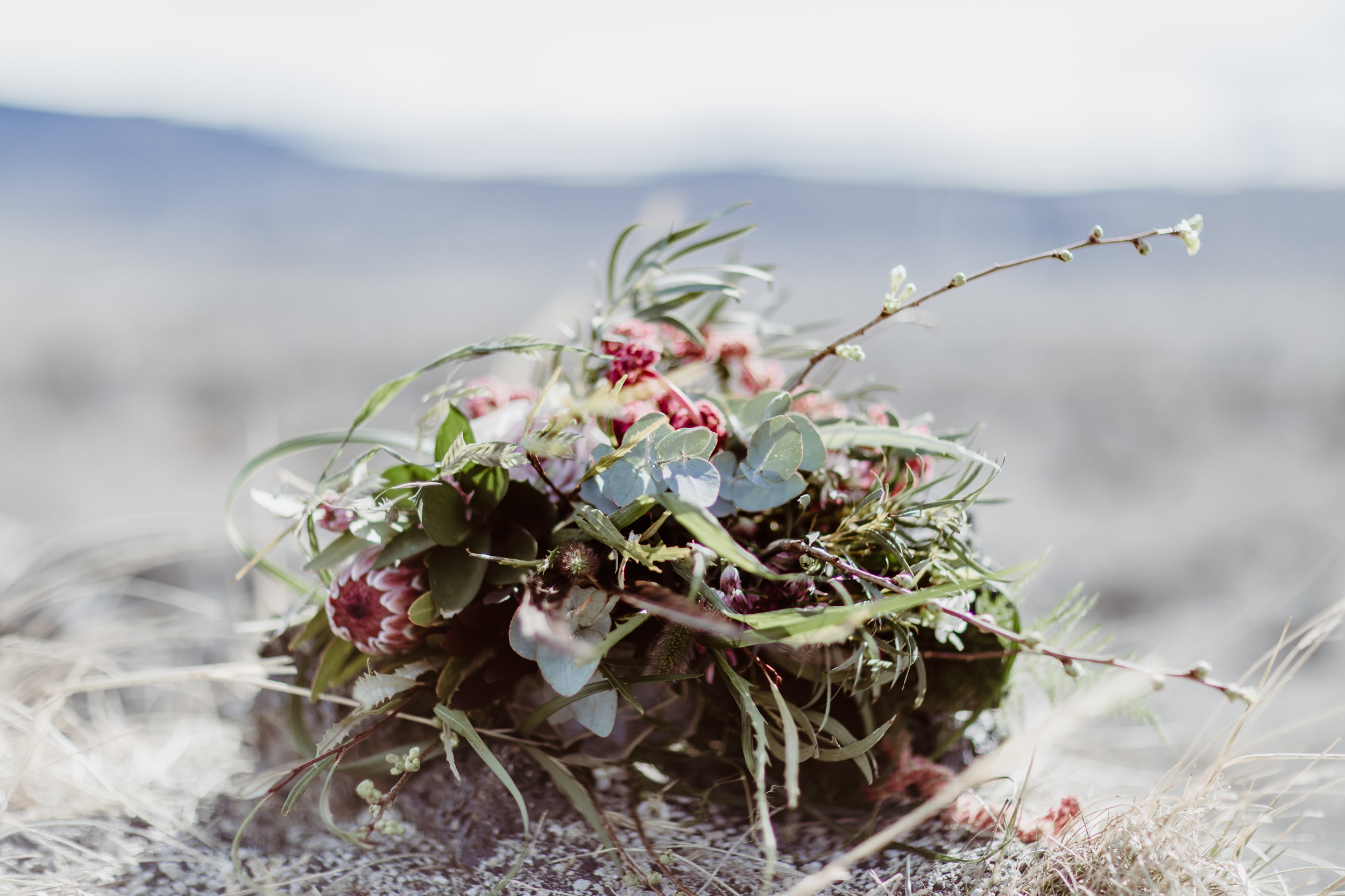 iceland elopement photographer , gay wedding in iceland , two brides iceland elopement