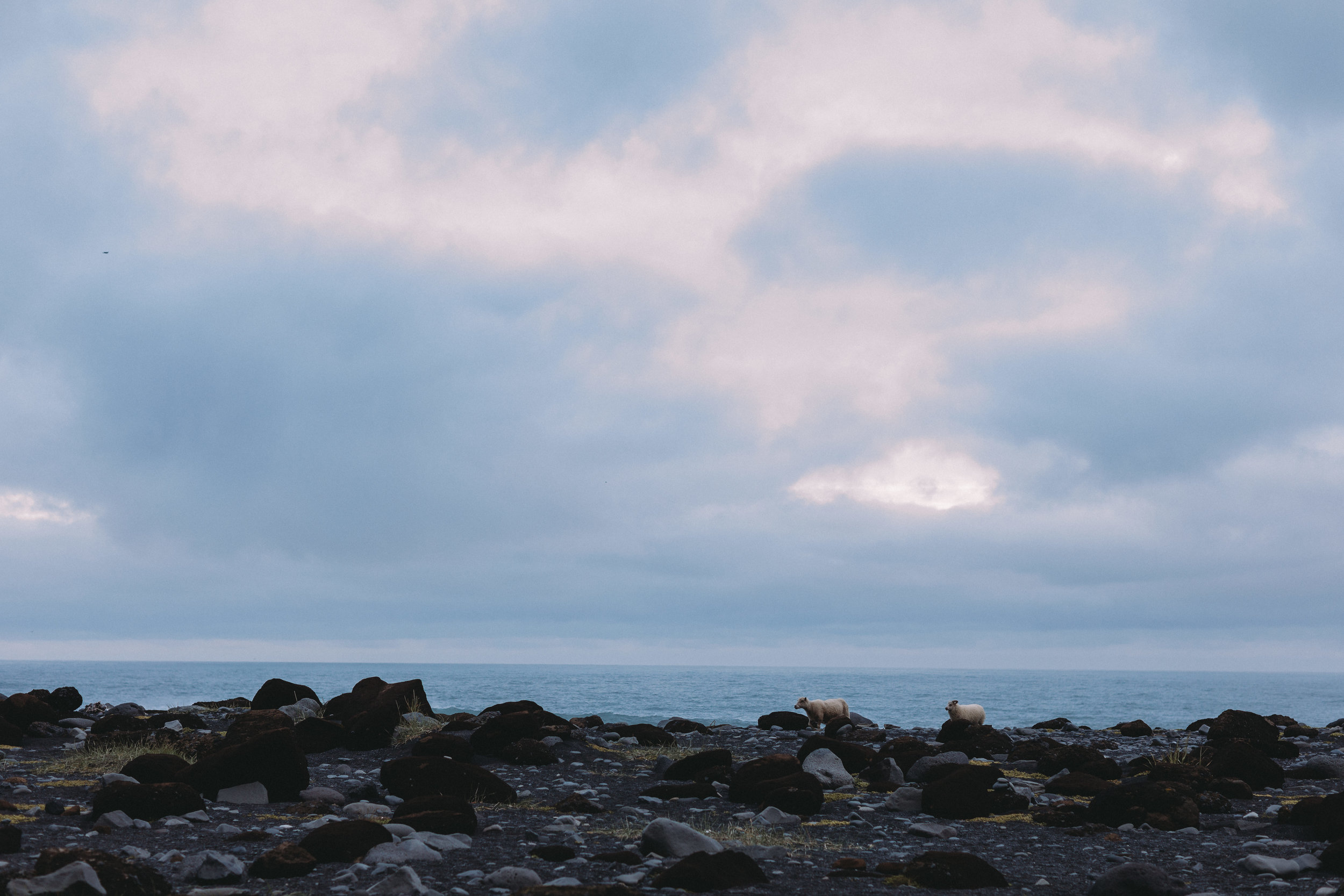 ICELAND_PROPOSAL_SOUTHCOAST-193.jpg