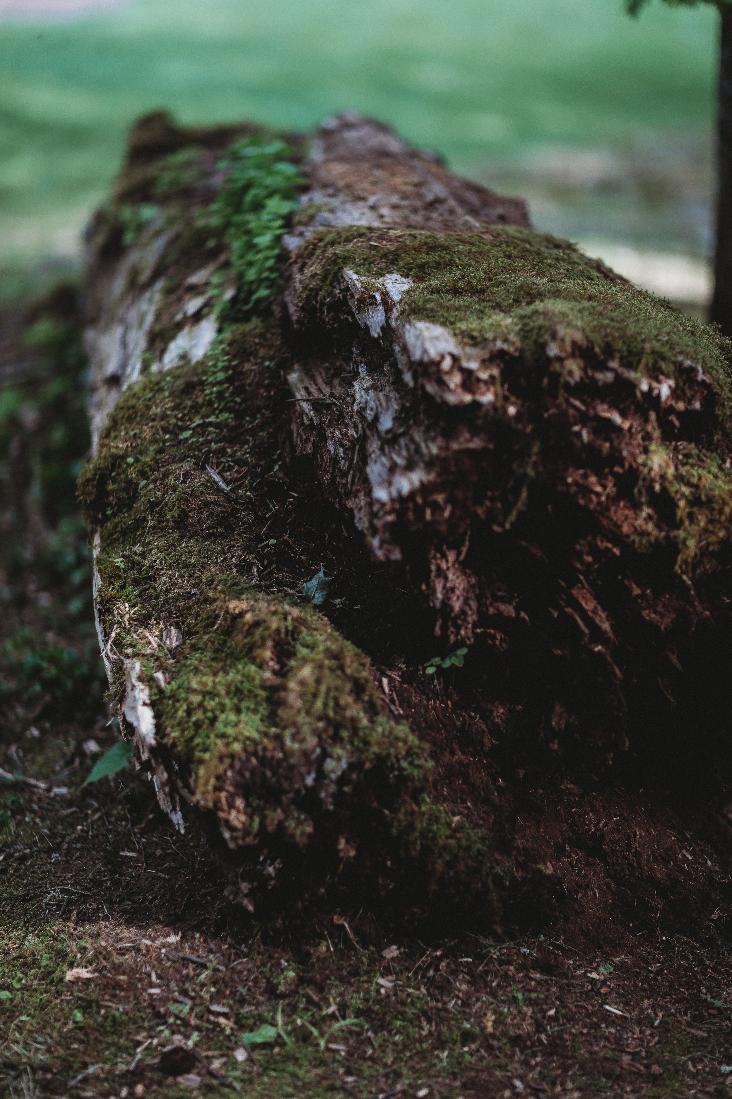 catskills wedding photographer- full moon resort