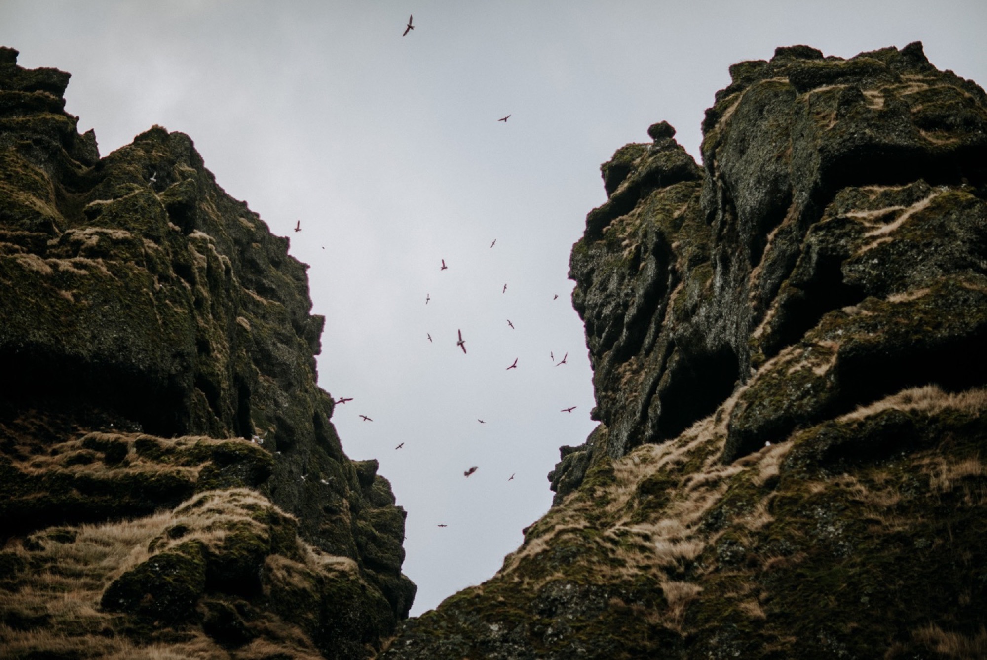 iceland cliffs