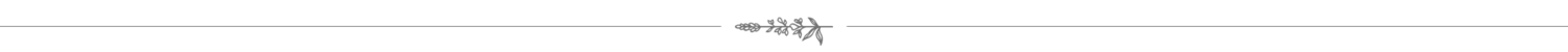 flowers-divider.png