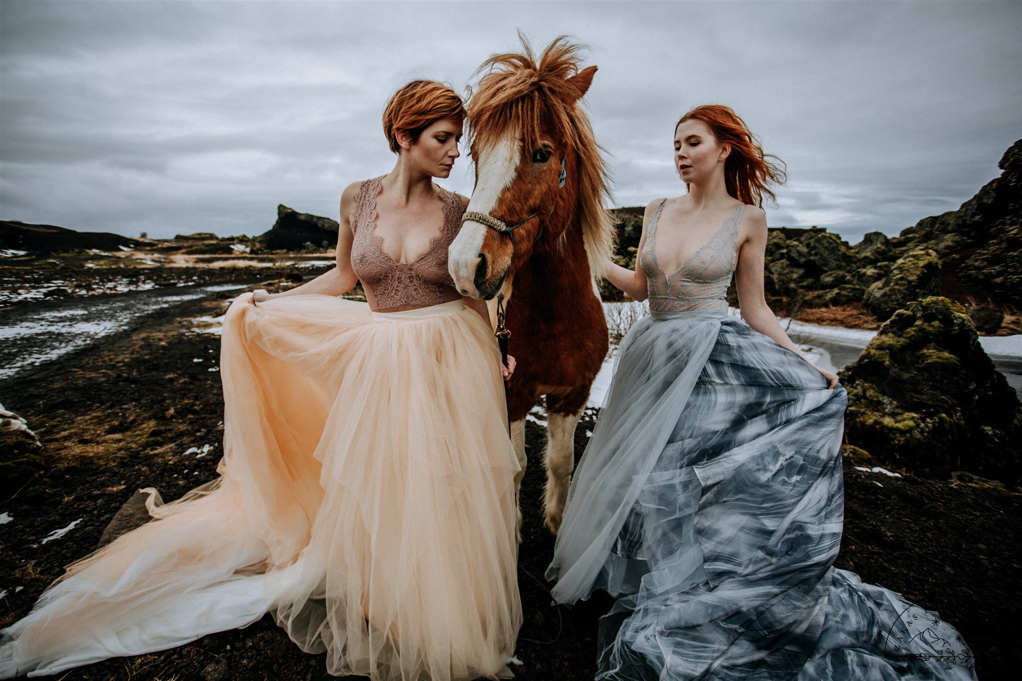 iceland wedding photos with horse | iceland elopement | zakas photo 