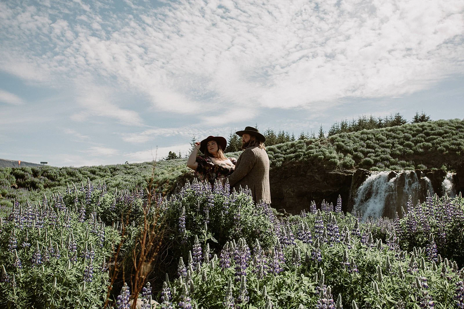 private Iceland elopement in black wedding dress couple walking in lupines