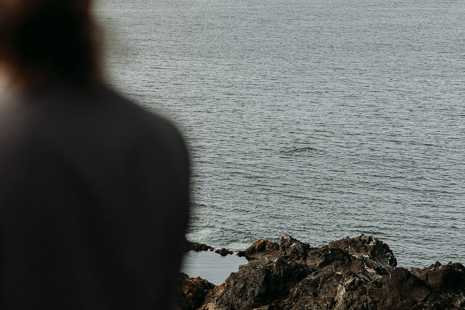 Alternative Iceland elopement couple wearing black wedding dress and purple hair — couple saying vows wedding ceremony