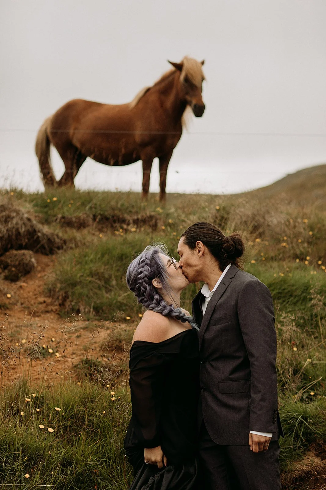 iceland elopement with a horse and bride in black wedding dress by iceland elopement planner steph zakas