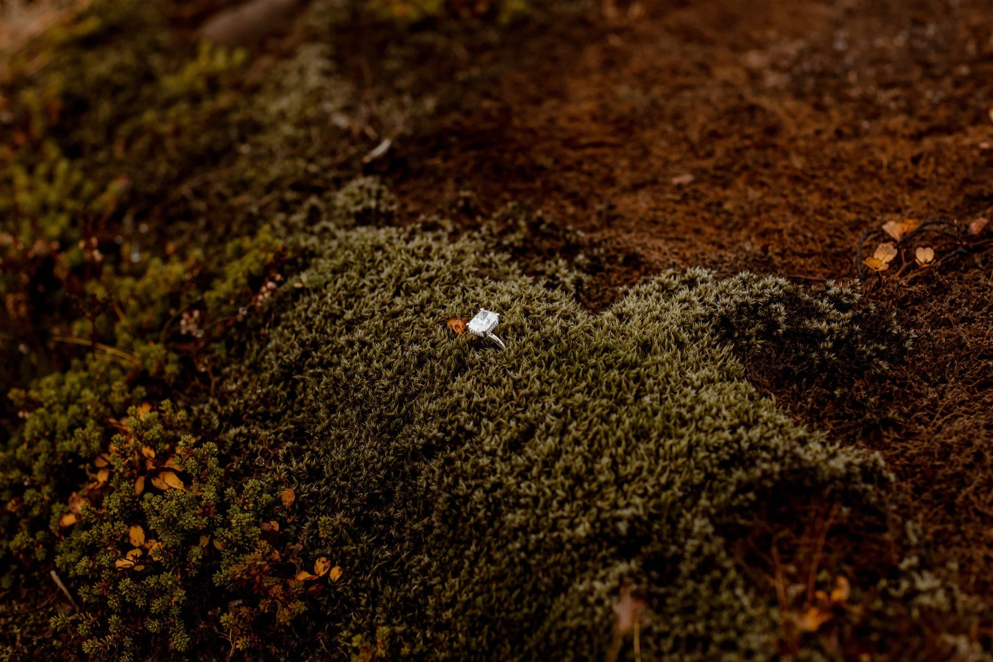  Secret Iceland Proposal at a Foggy Winter Waterfall by a local Iceland Engagement &amp; Proposal Photographer and planner —ring in moss 