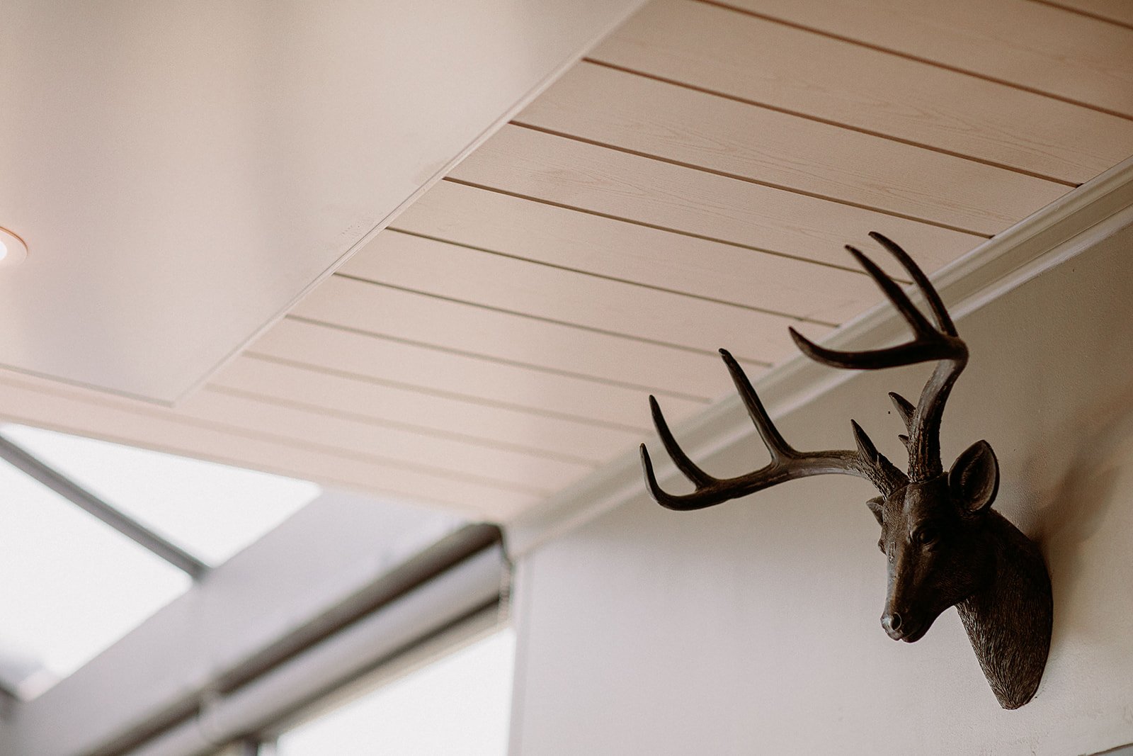 A Private Multi-Area Iceland Elopement with wedding details
