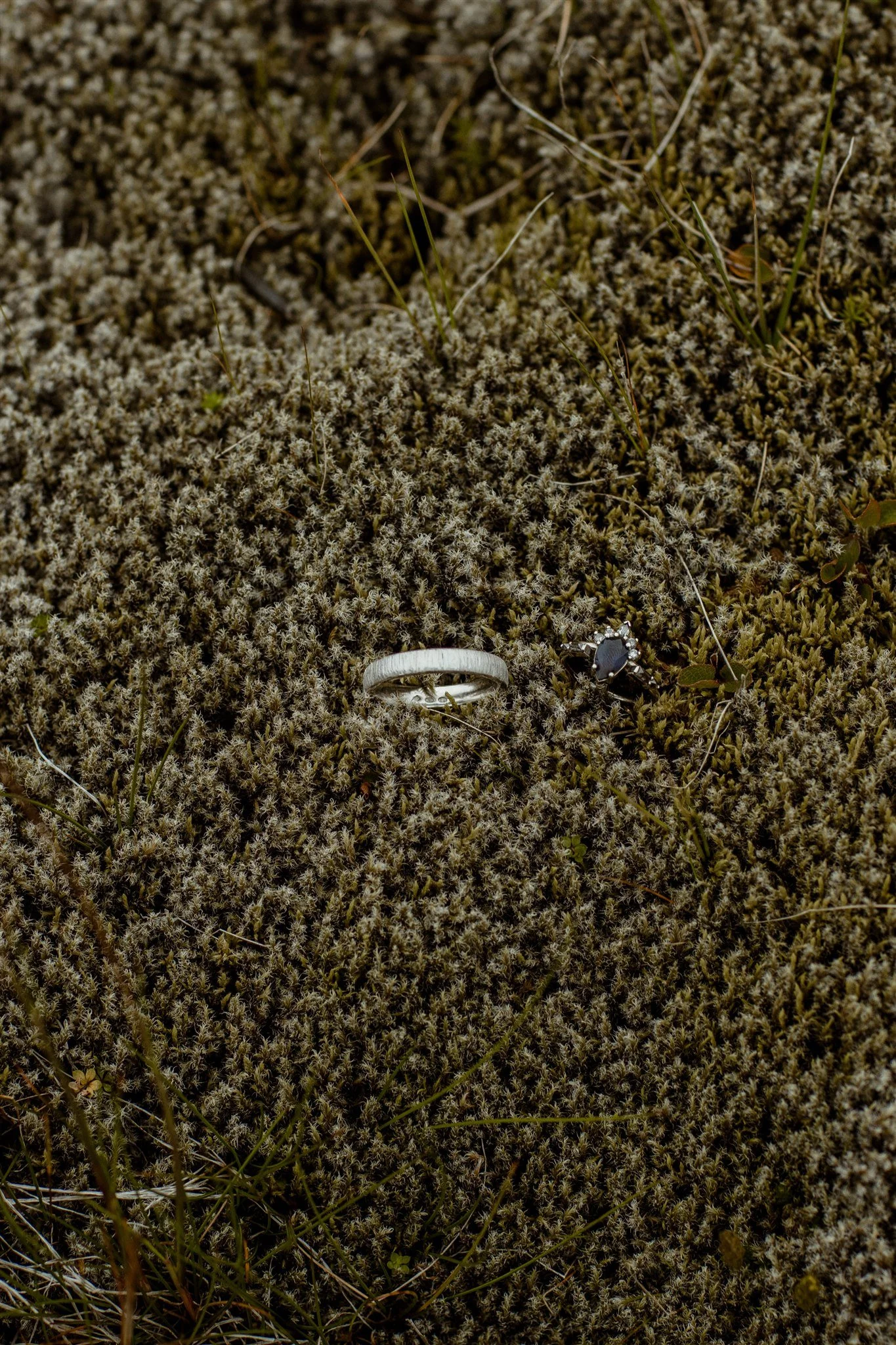  A Private Lake Iceland Elopement Starting in Reykjavík with Guests by Iceland elopement photographer &amp; planner Steph Zakas — rings in moss 