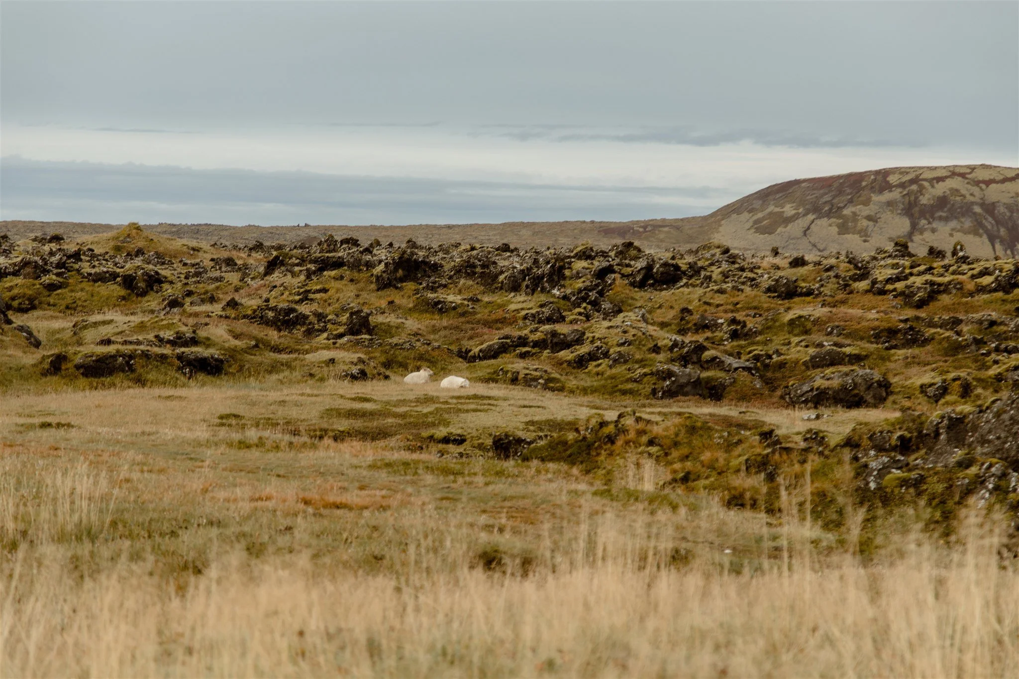 West Iceland Waterfalls Elopement