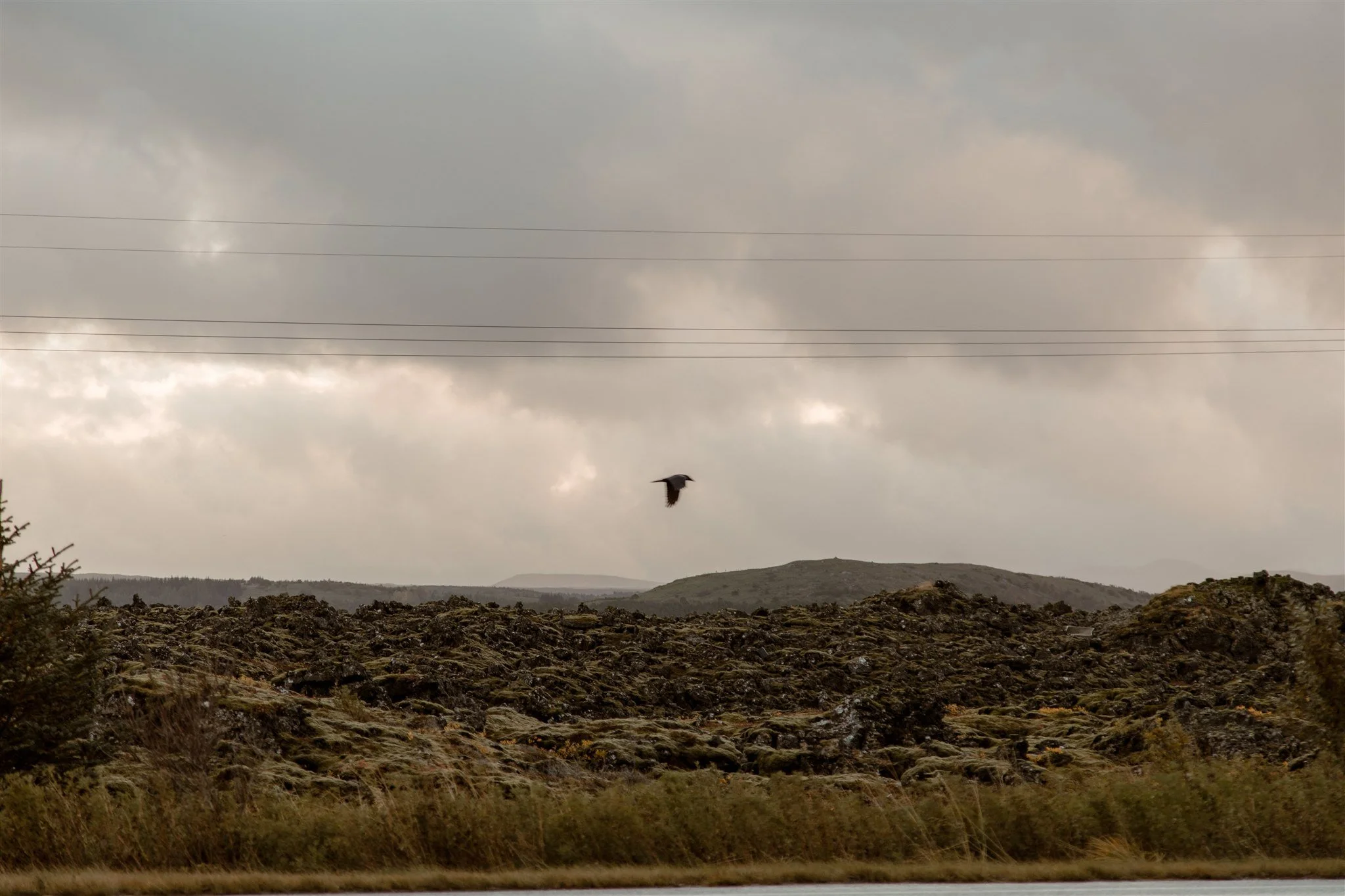 Iceland photographer