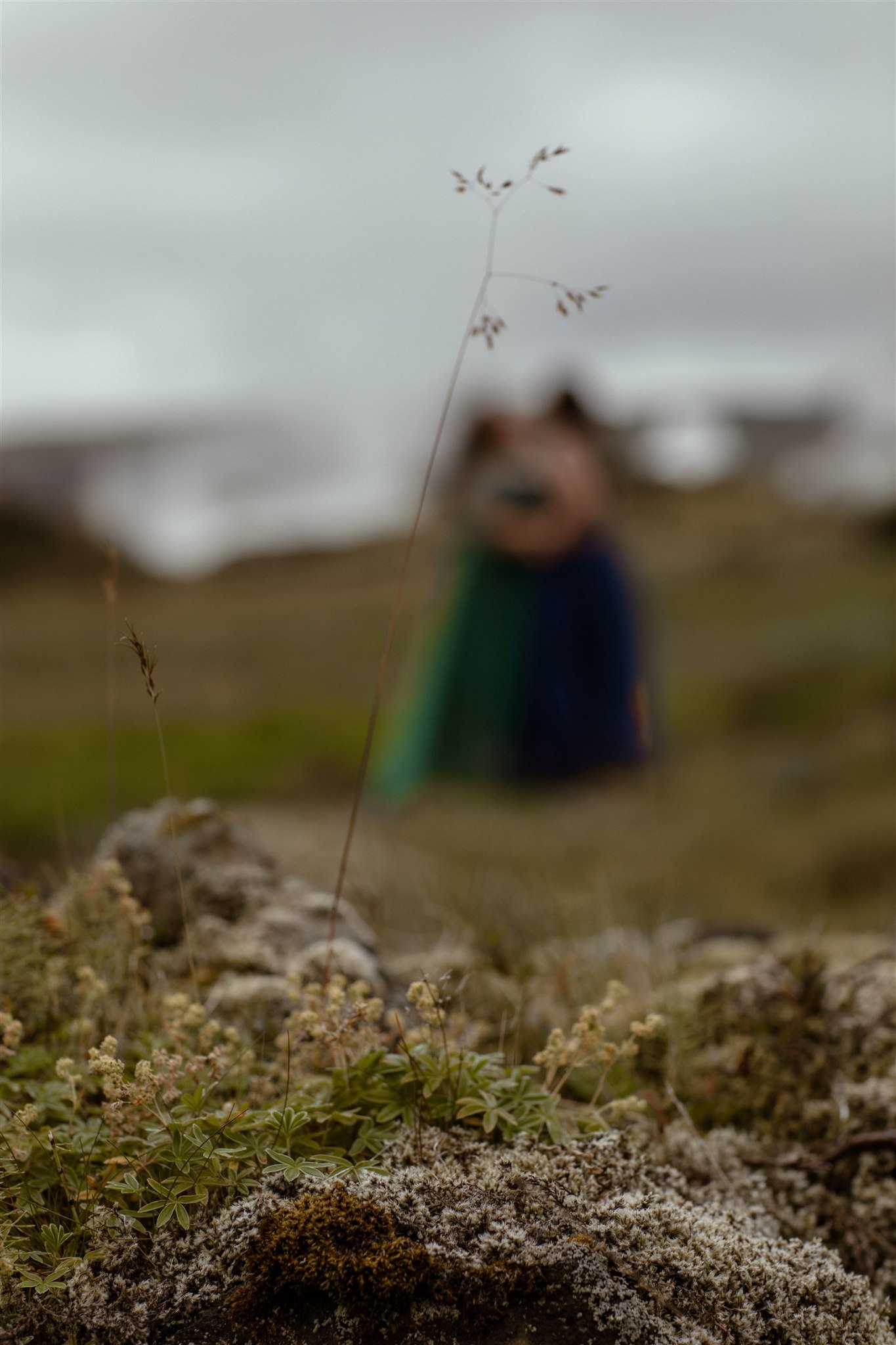 iceland honeymoon
