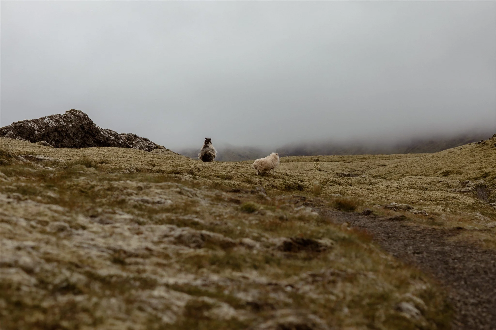 iceland honeymoon