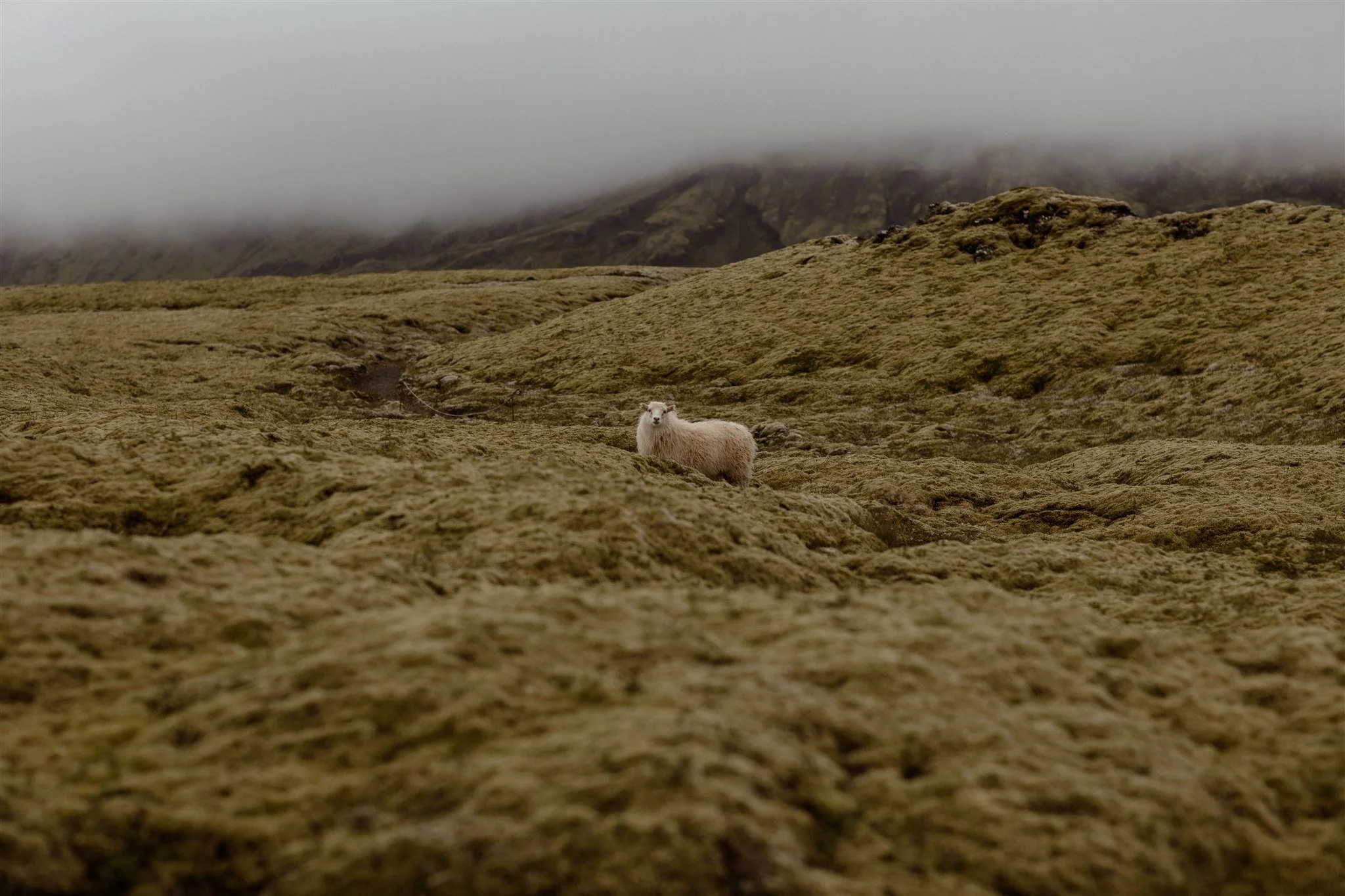 iceland honeymoon