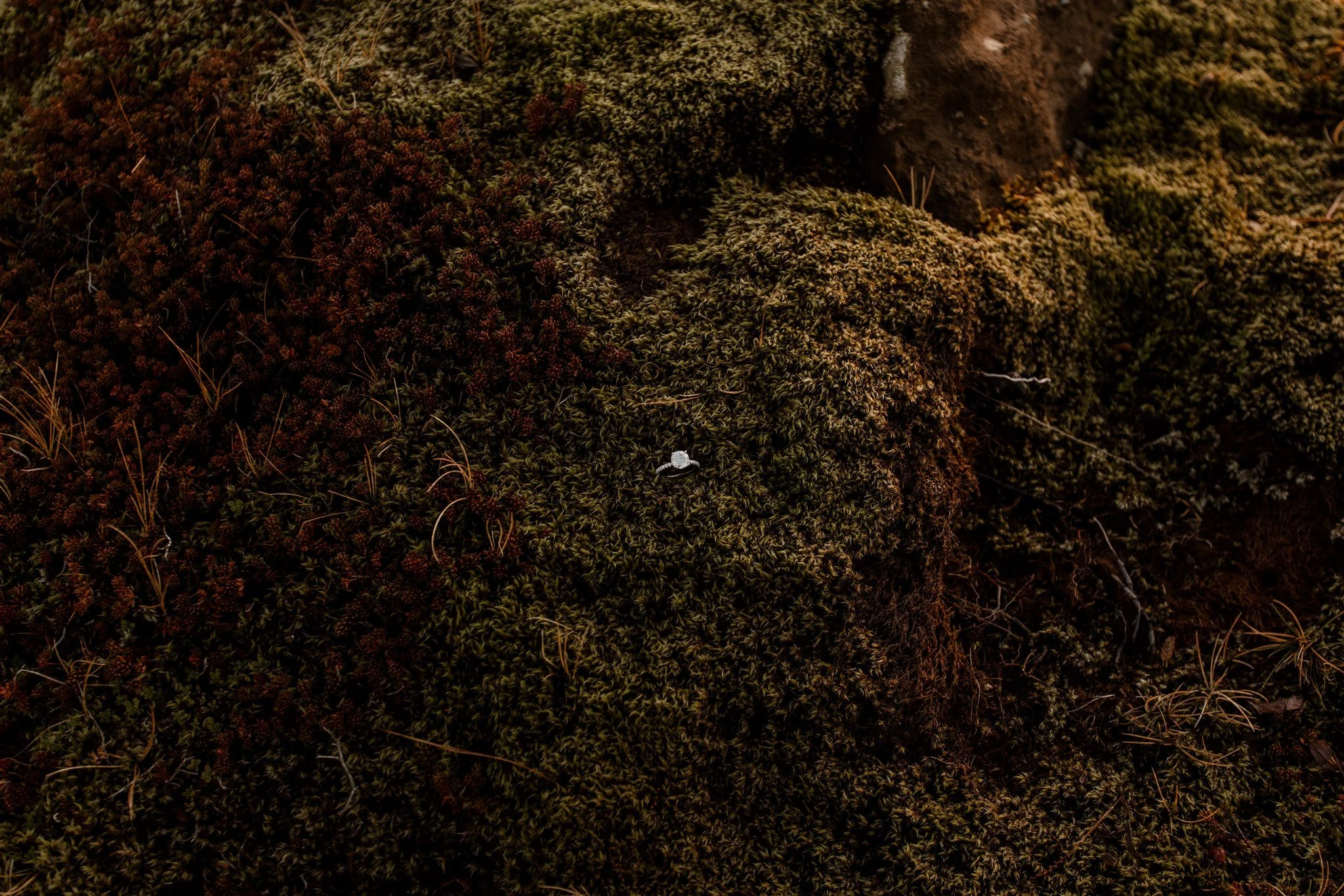  Iceland engagement photo with sunrise dreamy light with couple by water by Iceland engagement proposal photographer steph zakas 