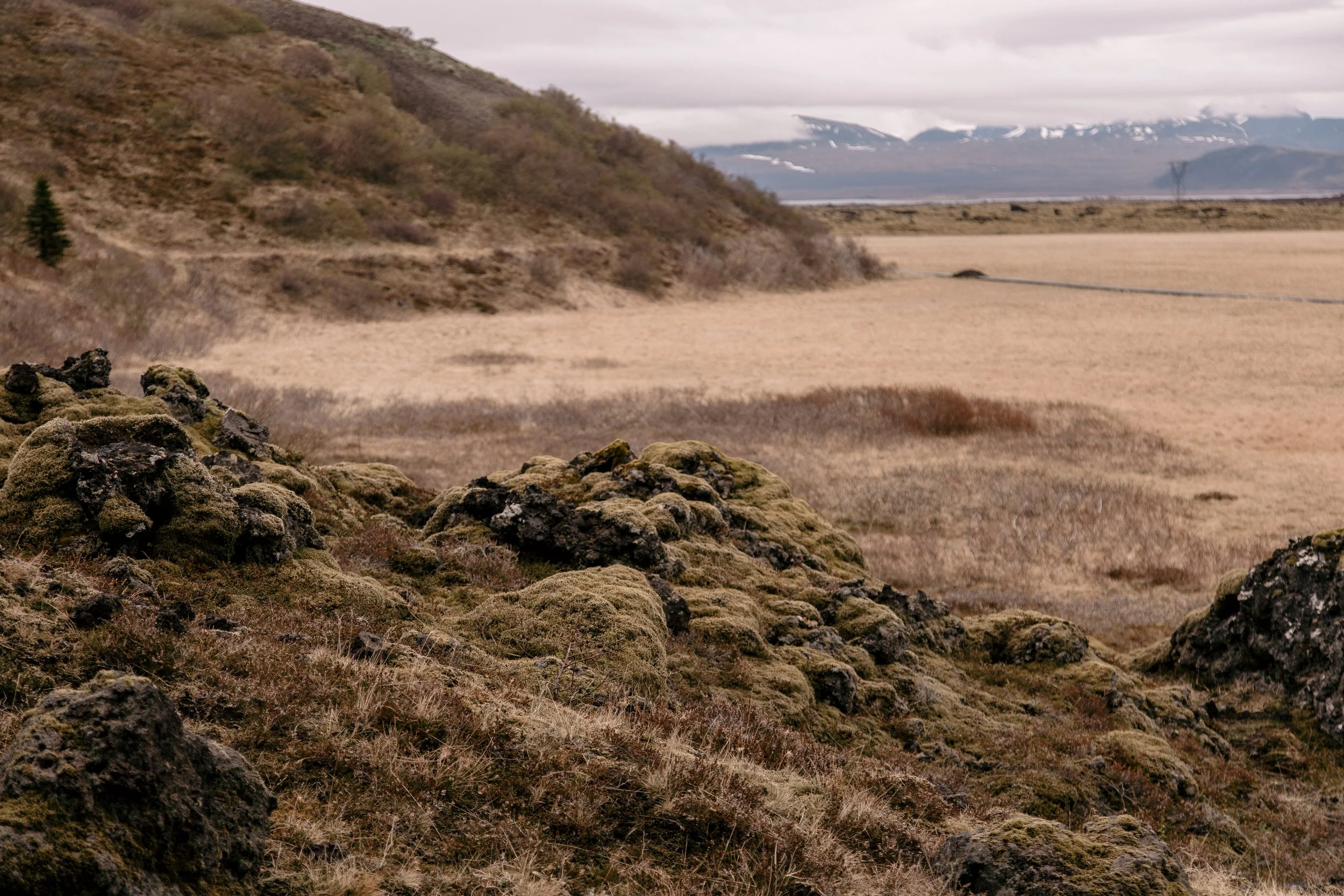iceland propose
