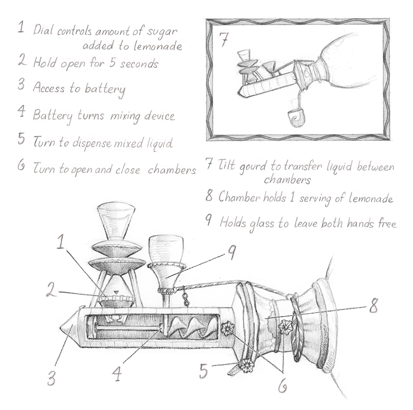 Chapter illustrations and diagrams for The Strange Round Bird by Eden Unger Bowditch, published by Bancroft Press in 2017. www.younginventorsguild.com