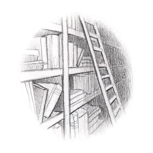 Chapter illustrations and diagrams for The Strange Round Bird by Eden Unger Bowditch, published by Bancroft Press in 2017. www.younginventorsguild.com