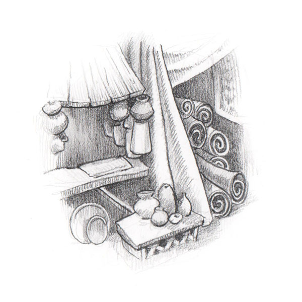 Chapter illustrations and diagrams for The Strange Round Bird by Eden Unger Bowditch, published by Bancroft Press in 2017. www.younginventorsguild.com