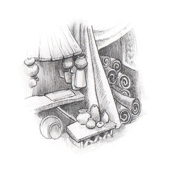 Chapter illustrations and diagrams for The Strange Round Bird by Eden Unger Bowditch, published by Bancroft Press in 2017. www.younginventorsguild.com