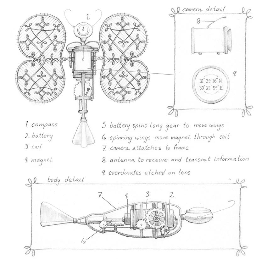 Chapter illustrations and diagrams for The Strange Round Bird by Eden Unger Bowditch, published by Bancroft Press in 2017. www.younginventorsguild.com