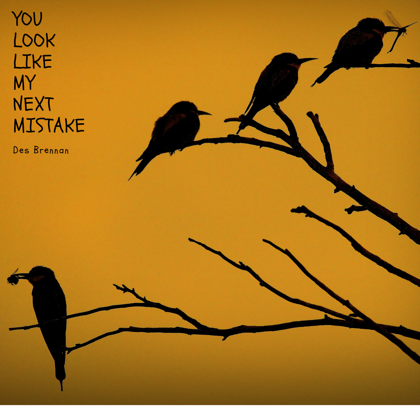Des Brennan - You Look Like My Next Mistake EP.png