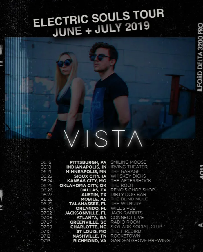 VISTA tour pic.jpg