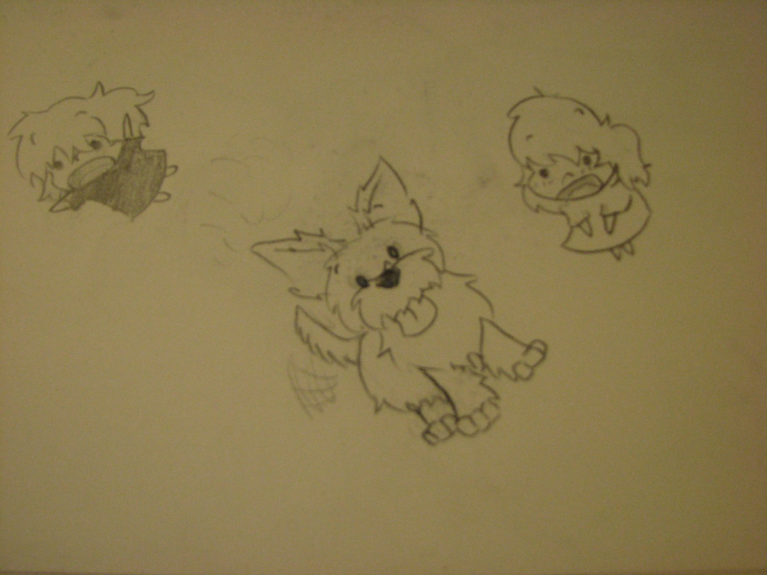 IMG_2129.jpeg