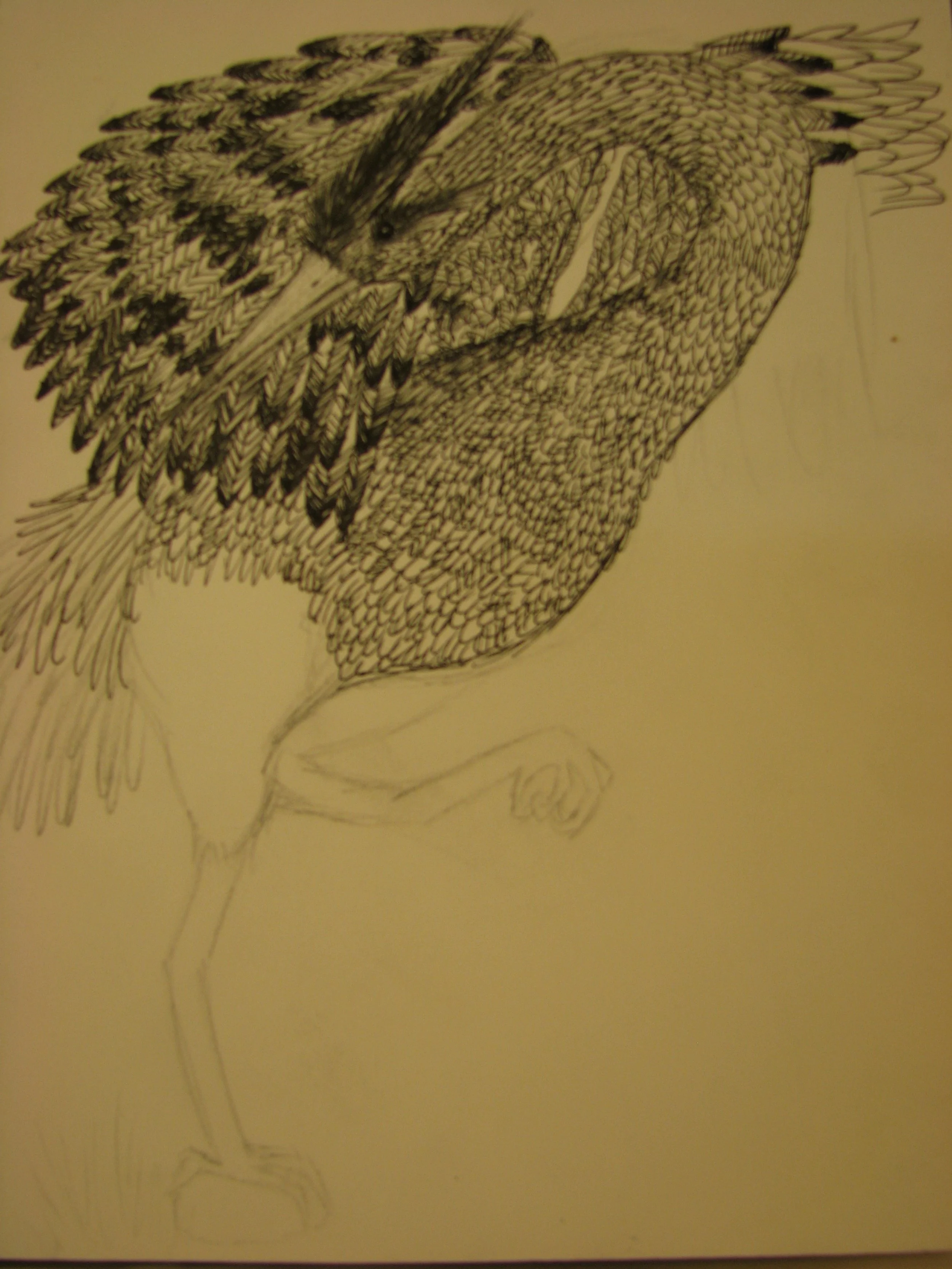 IMG_2107.jpeg