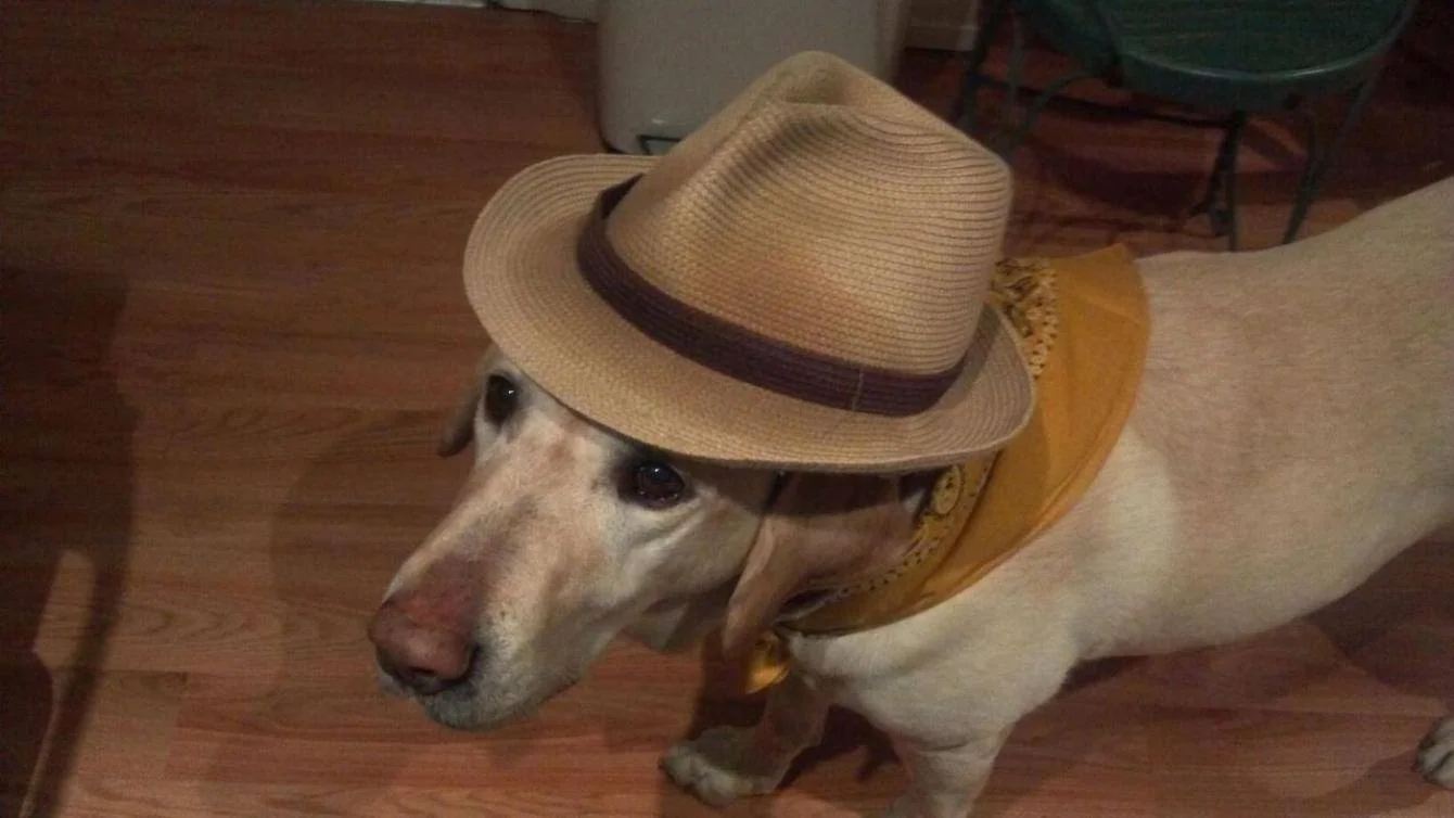 Cam ready to go.jpg