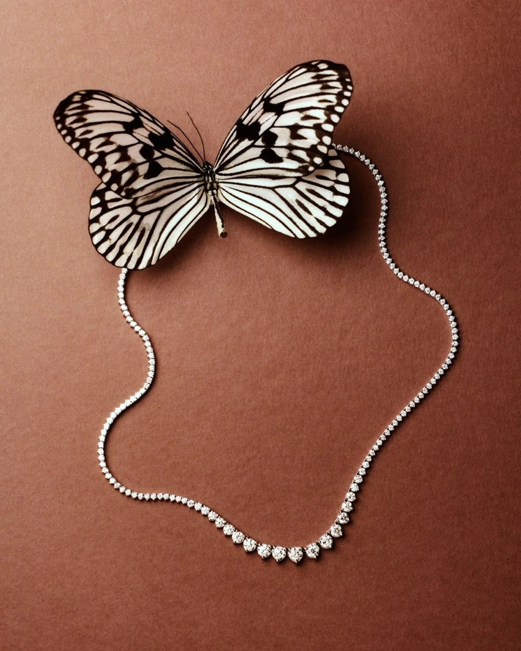 img20251003_15055788 1 Large.jpeg