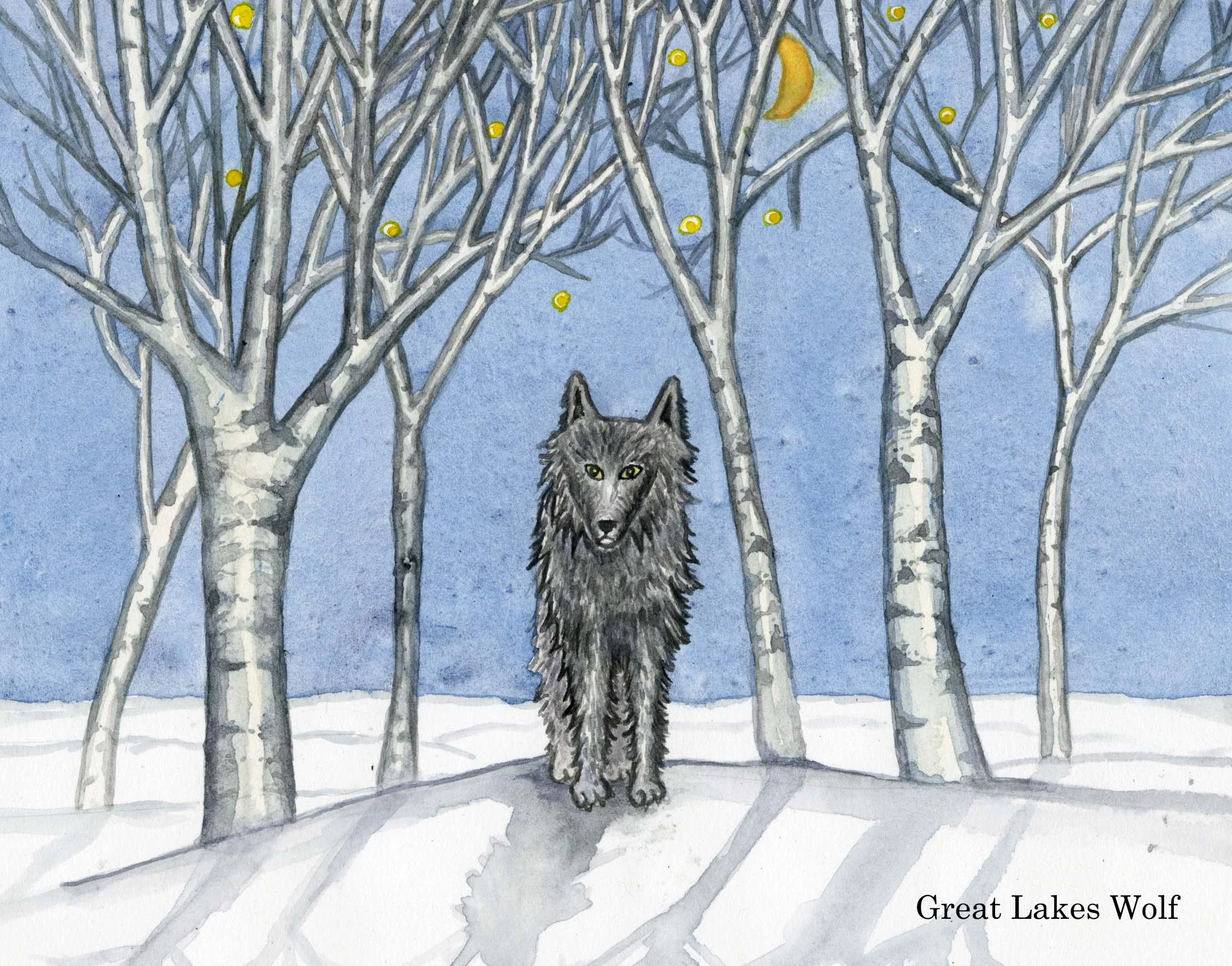 winter_wolf_greatlakes.jpg