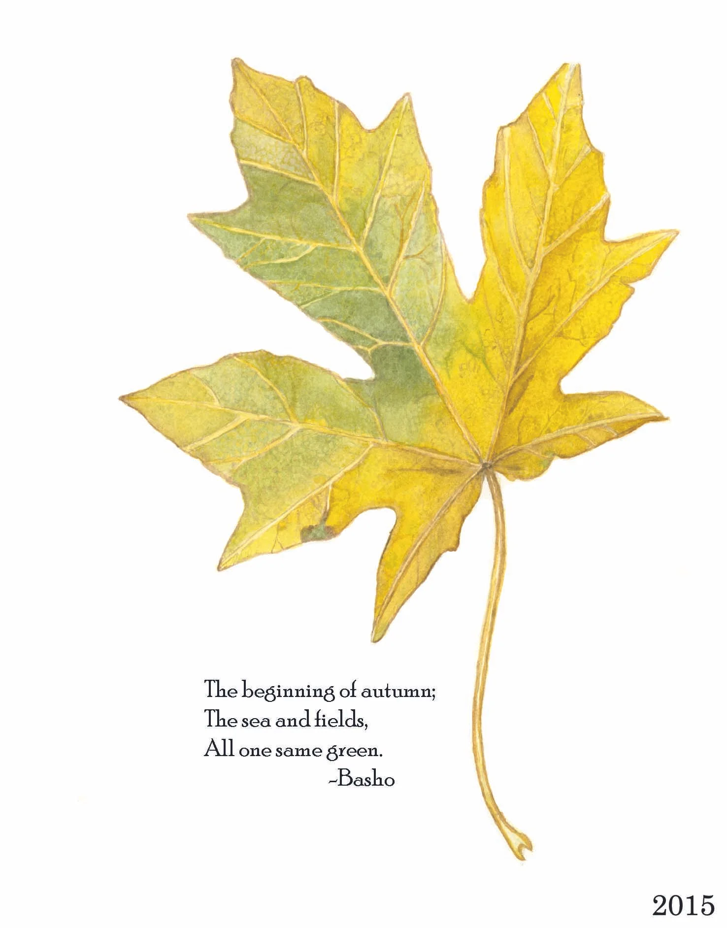 Basholeaf2015.jpg