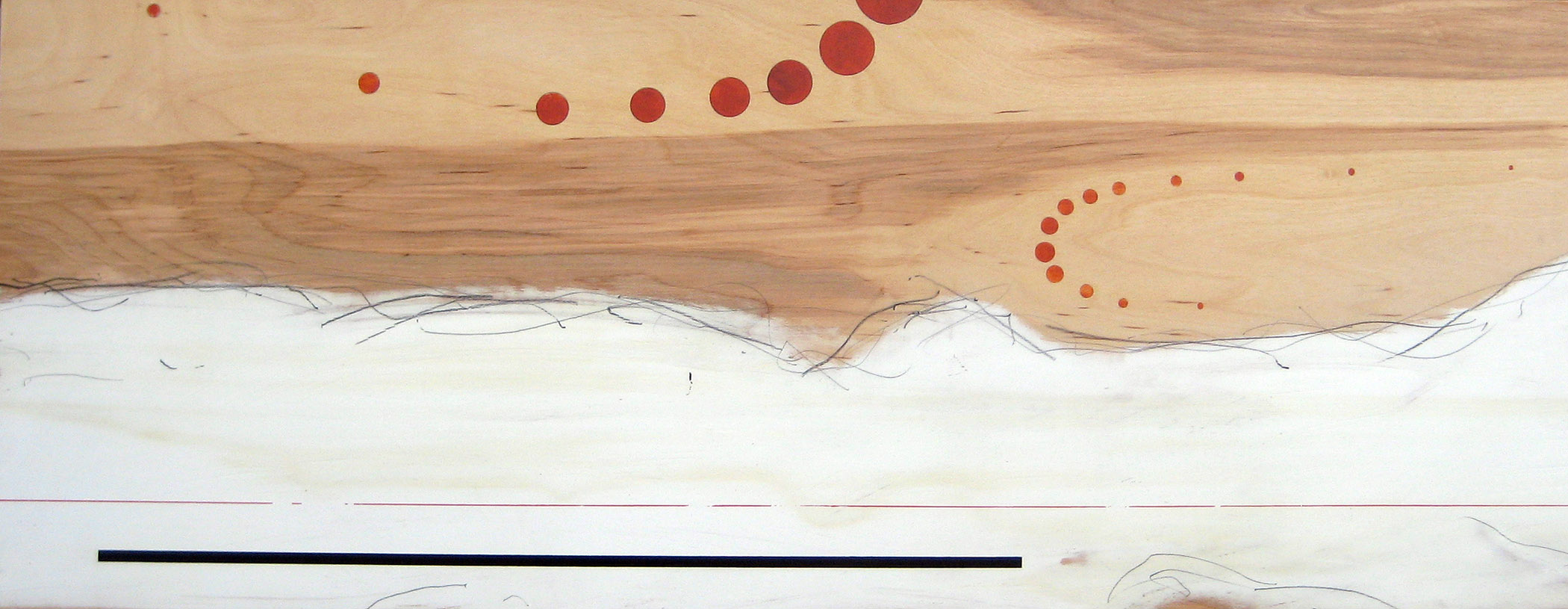    Landscape    15.5" x 48"  Acrylic, graphite, varnish, on wood  Price upon request 