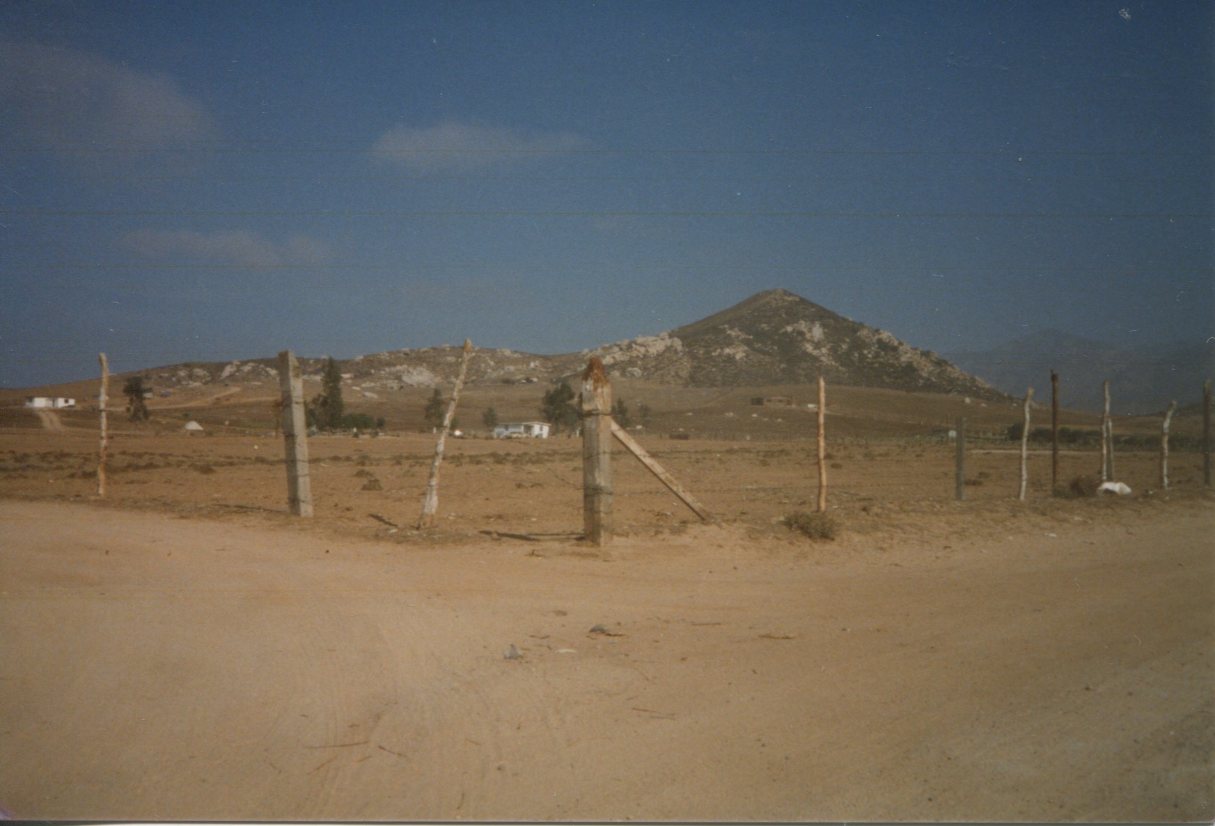 Scan 7.jpeg