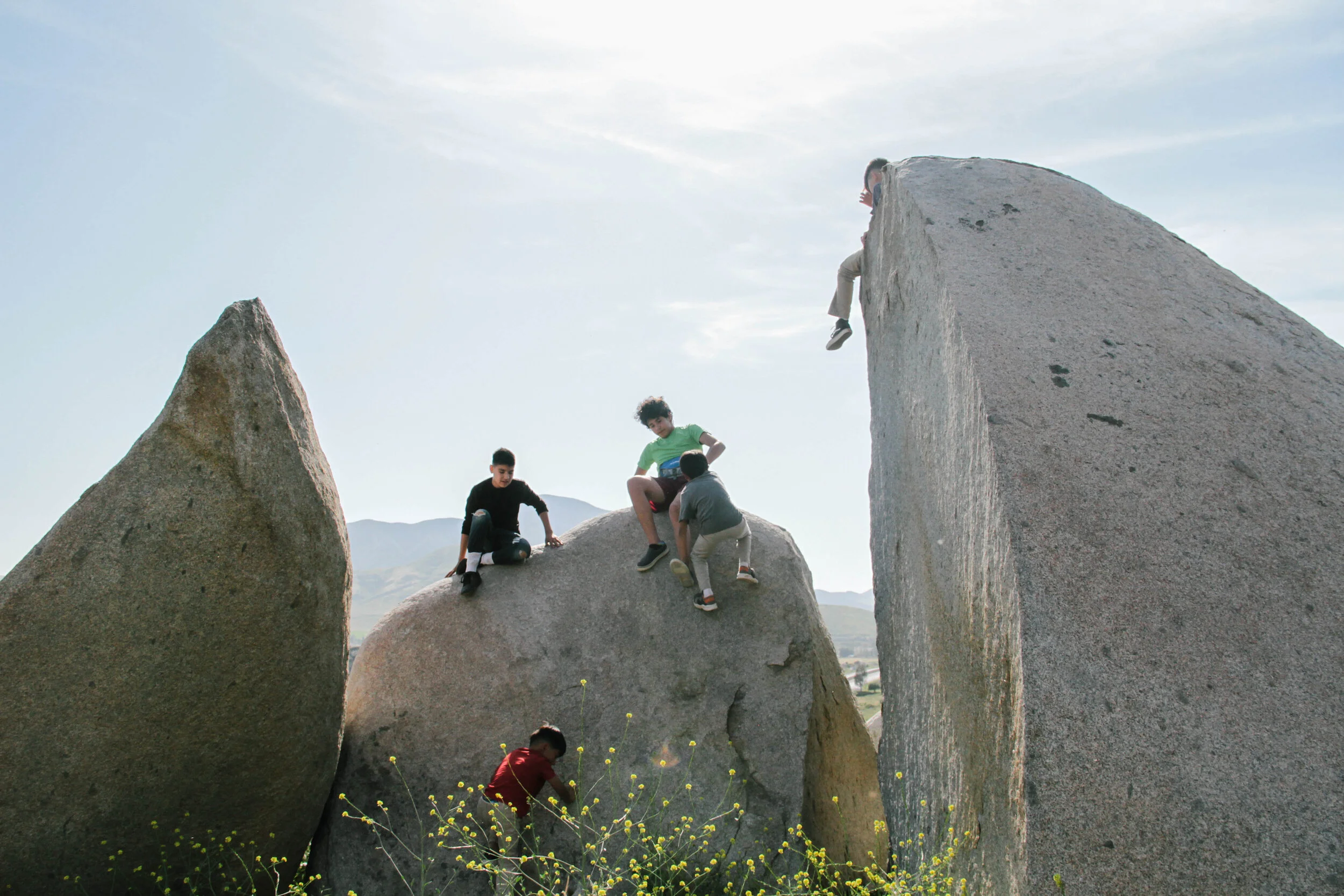 Monthly Newsletter: May 2020