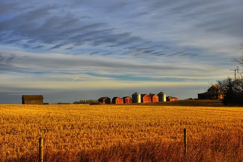 Agricultural Appraisals