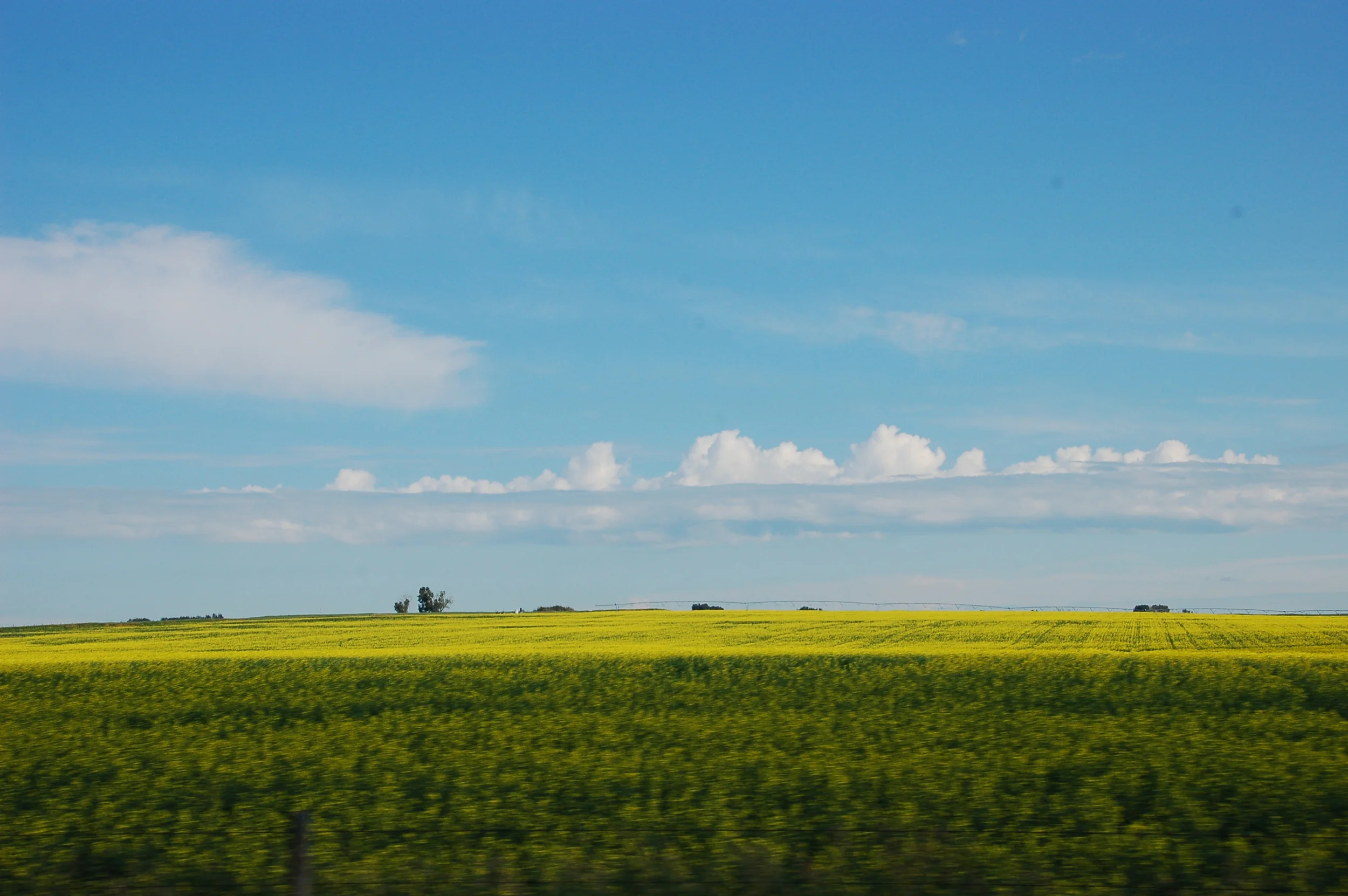 1381206805409_VulcanCounty_08_24.JPG