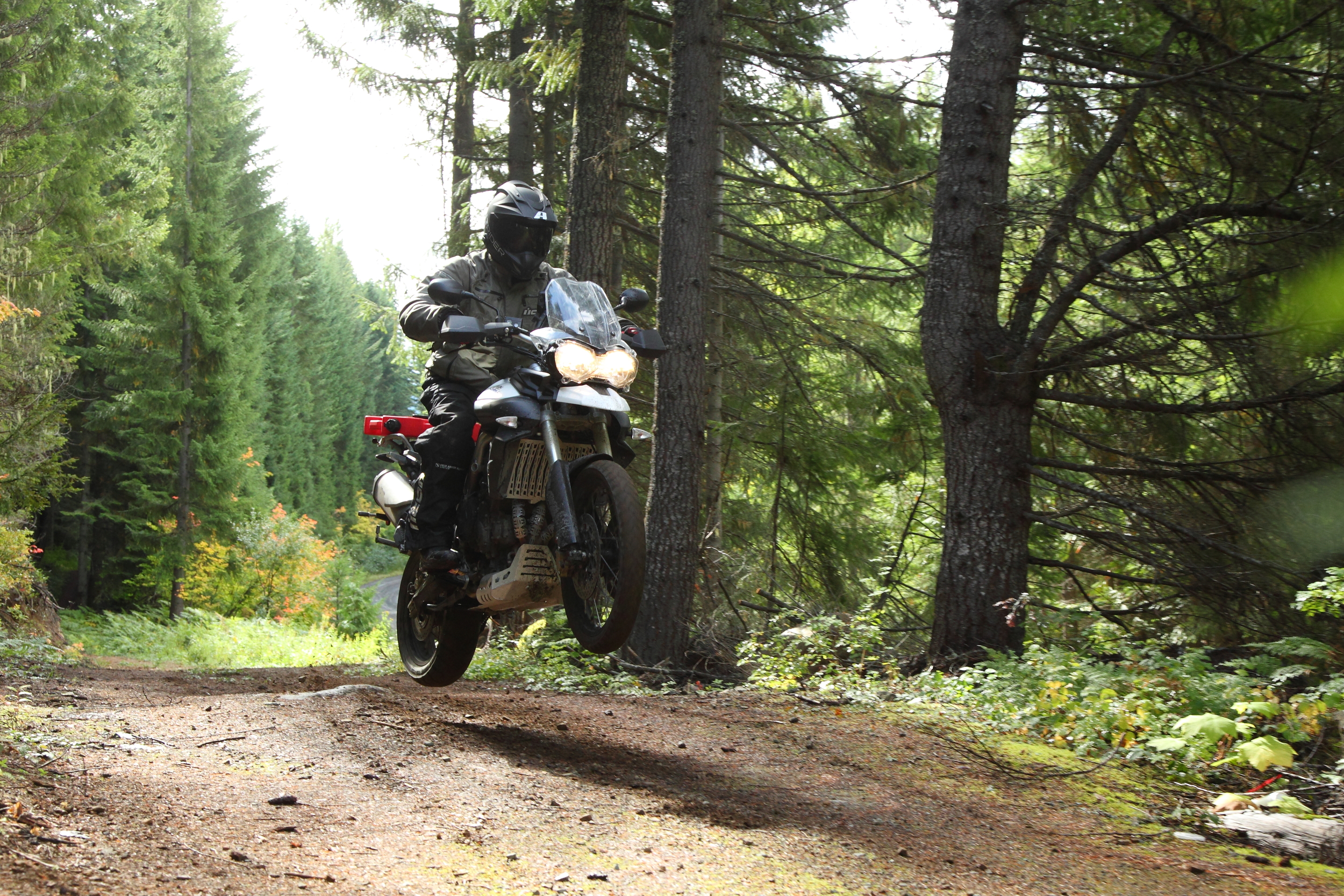 2012_Ken_R12_F800_Super Tenere_Multi_Vstrom_Tiger800_Forest (278).JPG