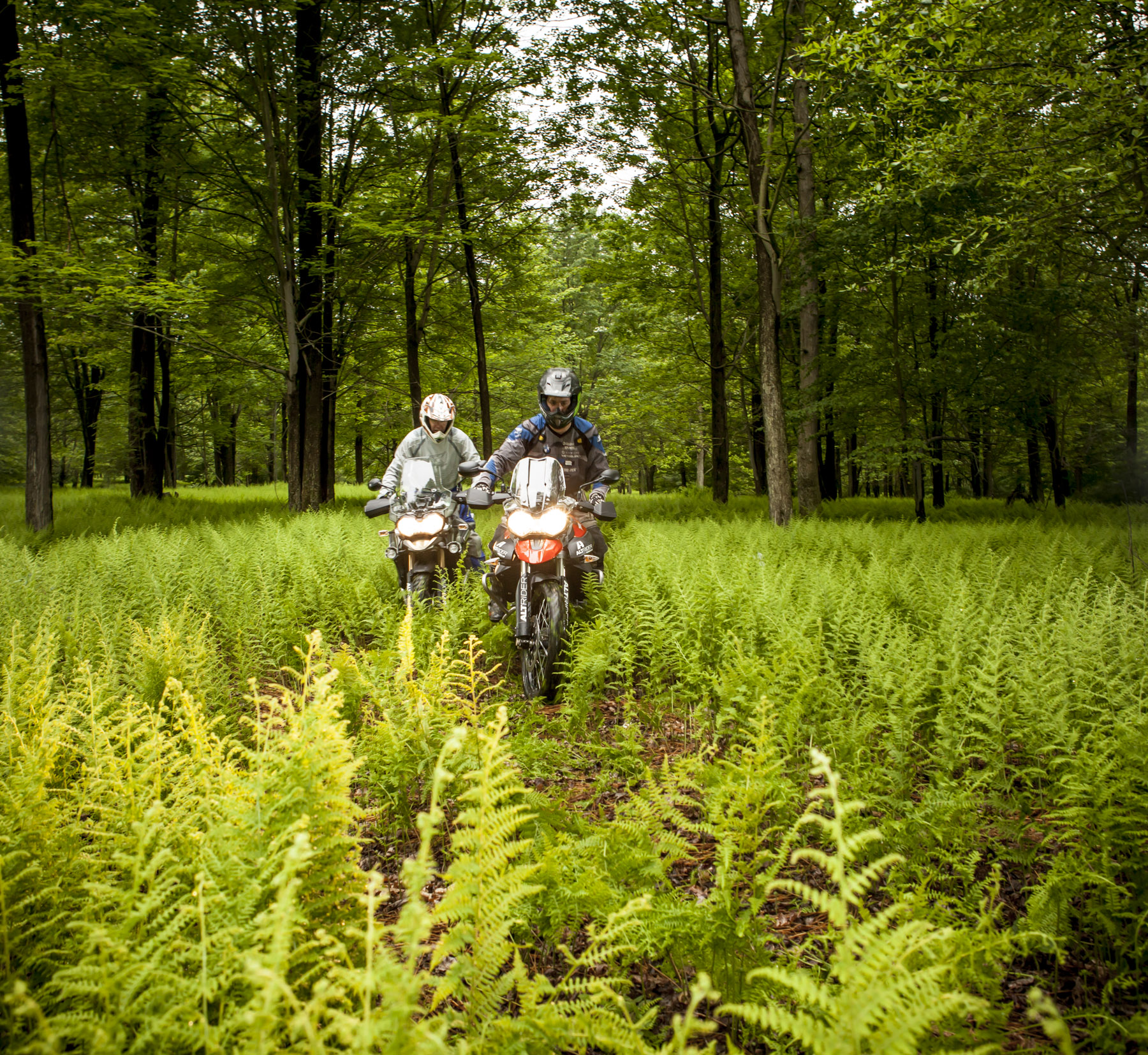 2013_Triumph 800_1200_Conserve the Ride (110).jpg