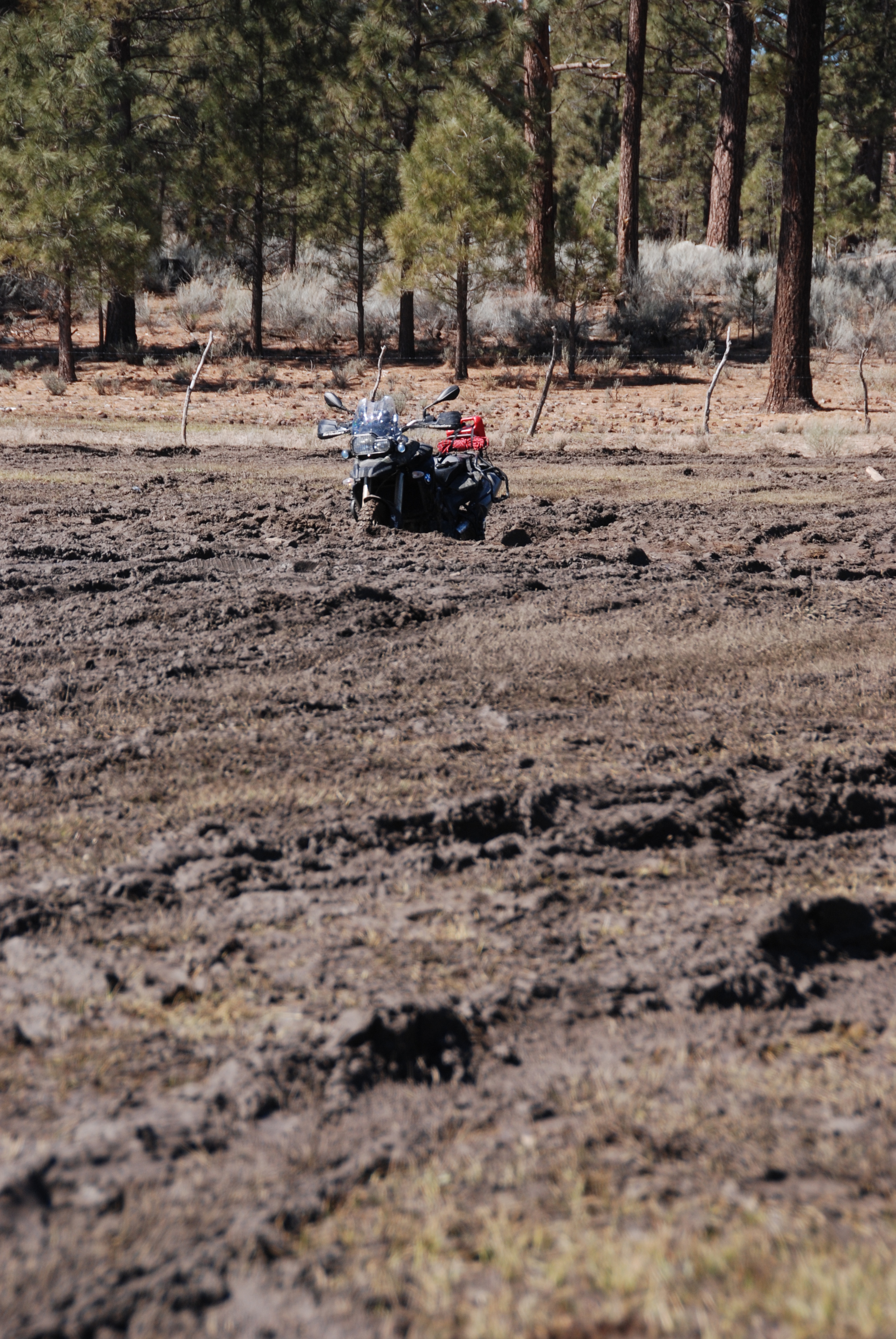 Baja 2010 Bret (96).jpg