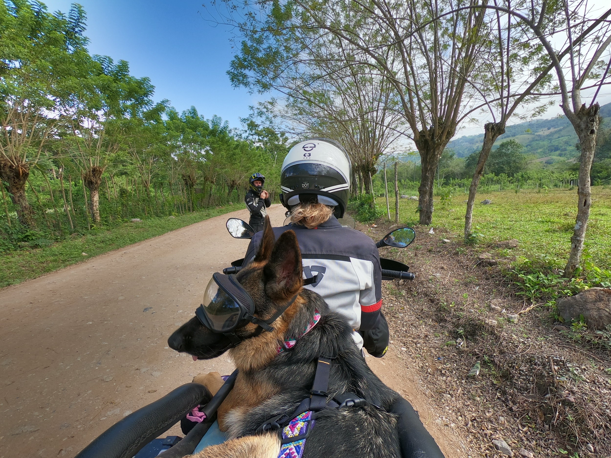 Jess-Greg-Stone-Ruff-on-the-Road-dog-adventure-rider-radio-motorcycle-podcast-1.jpeg