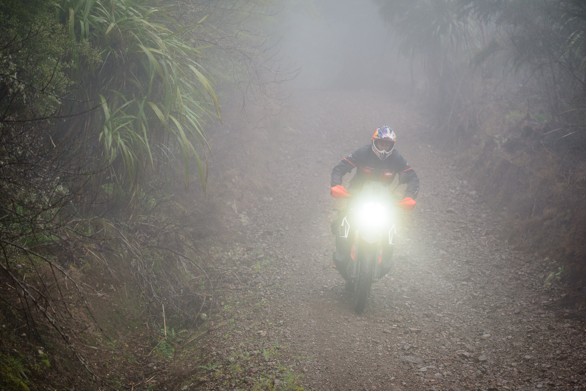 2019 KTM New Zealand Adventure Rallye (3).jpg