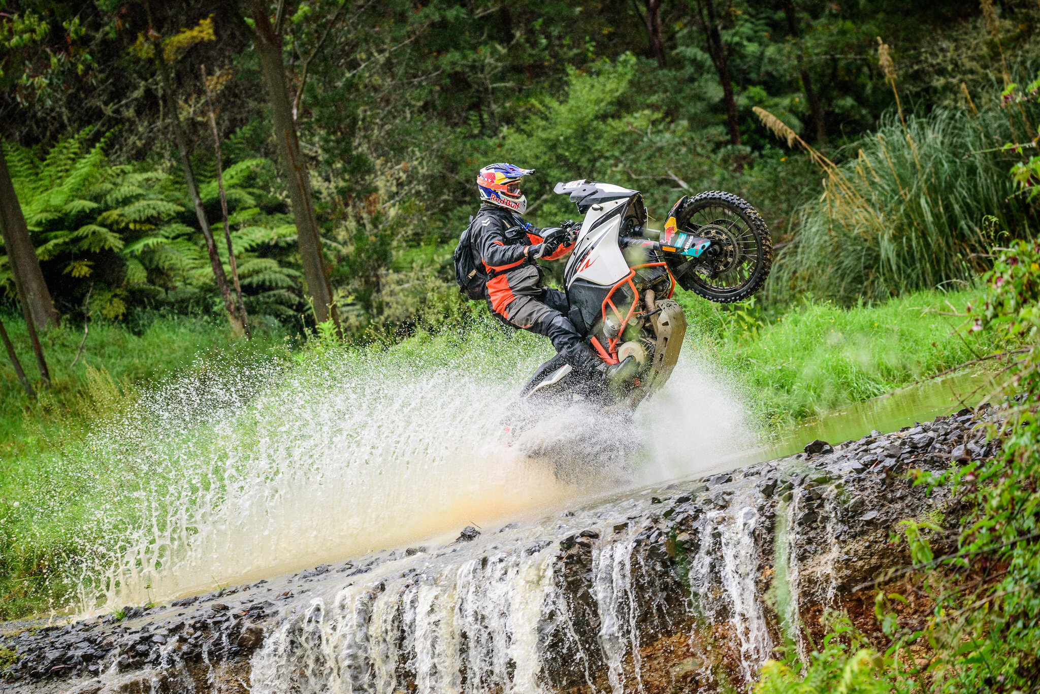 2018 KTM New Zealand Adventure Rallye - Northland (347).jpg