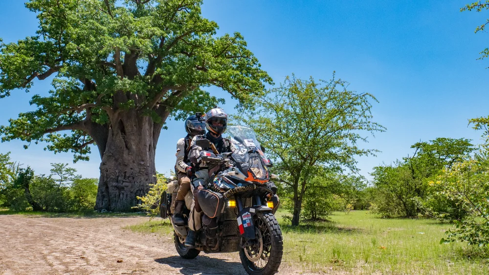 How to Set Up Women’s Adventure Touring Bike: Ultimate Guide