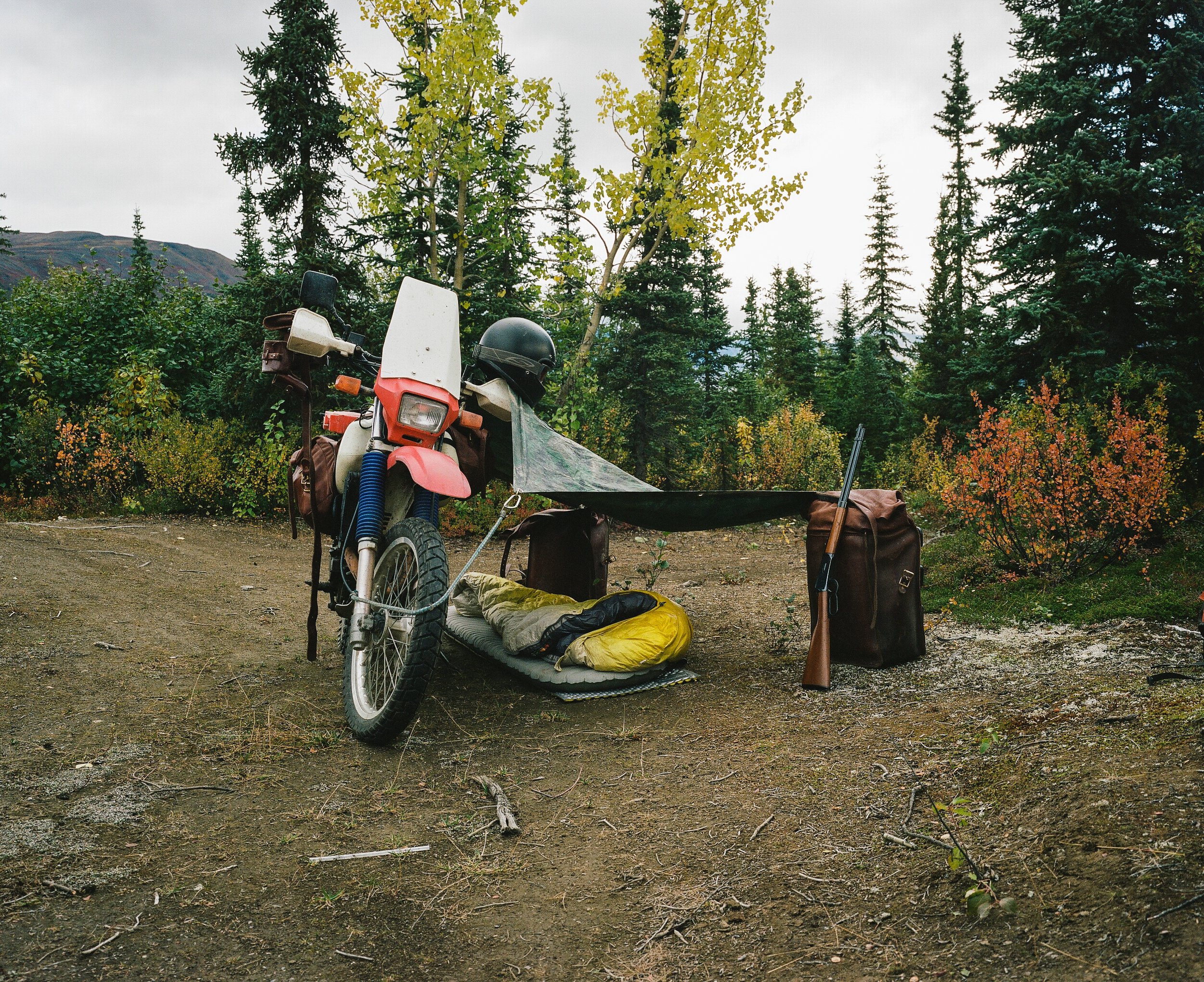  Motorcycle with small camp set up with trees and yellowing leaves. 