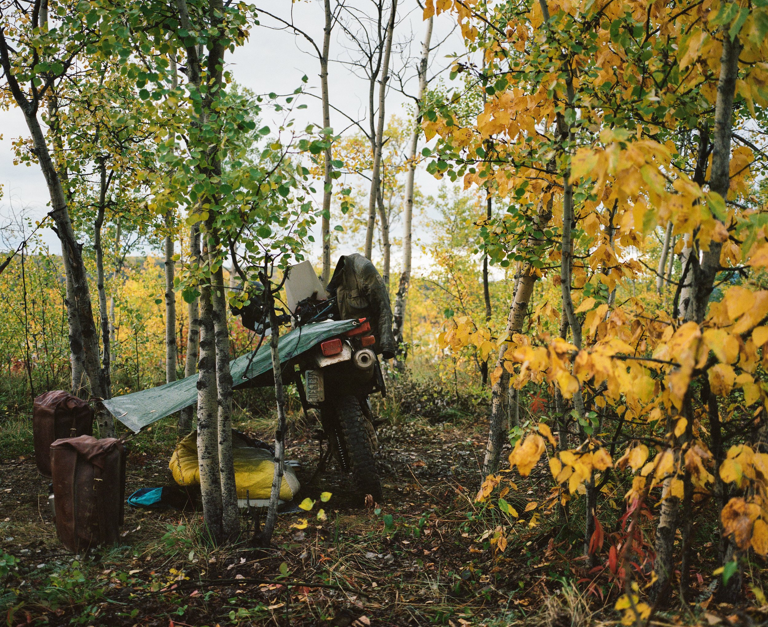  Motorcycle and small camp set up with trees around with yellowing leaves. 