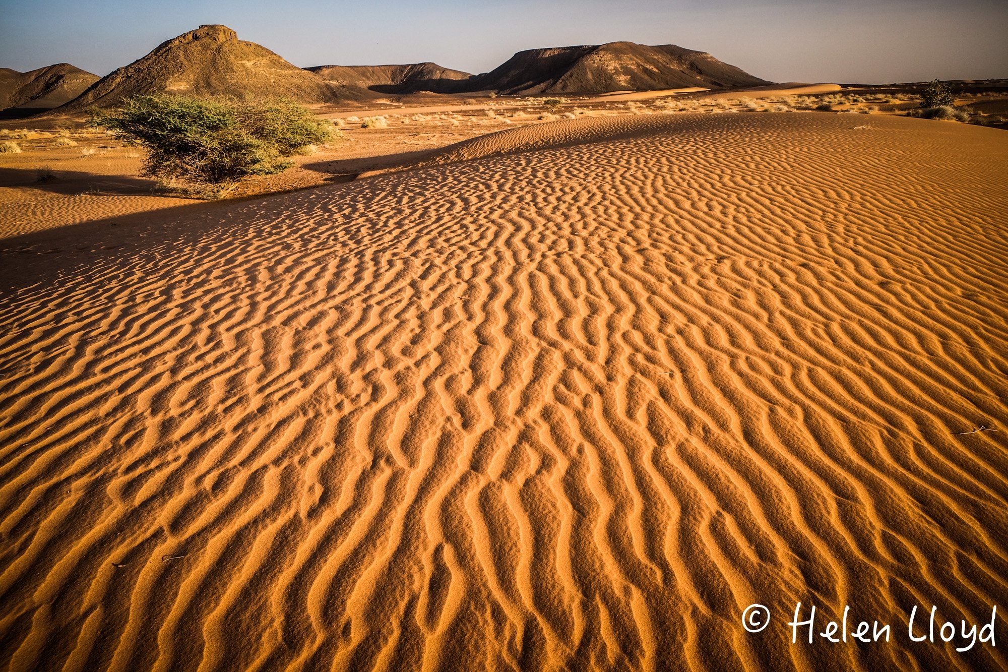  Desert with ripples. 